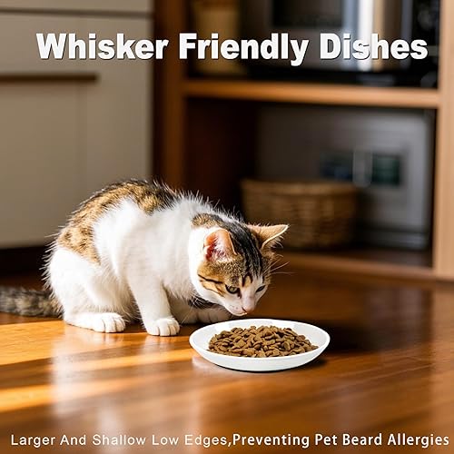 Miniatura 5 de Cuencos para gatos, sin derrames, con bigote y fatiga para gatitos, con silicona antideslizante, platos de cerámica para gatos, agua y húmedos y