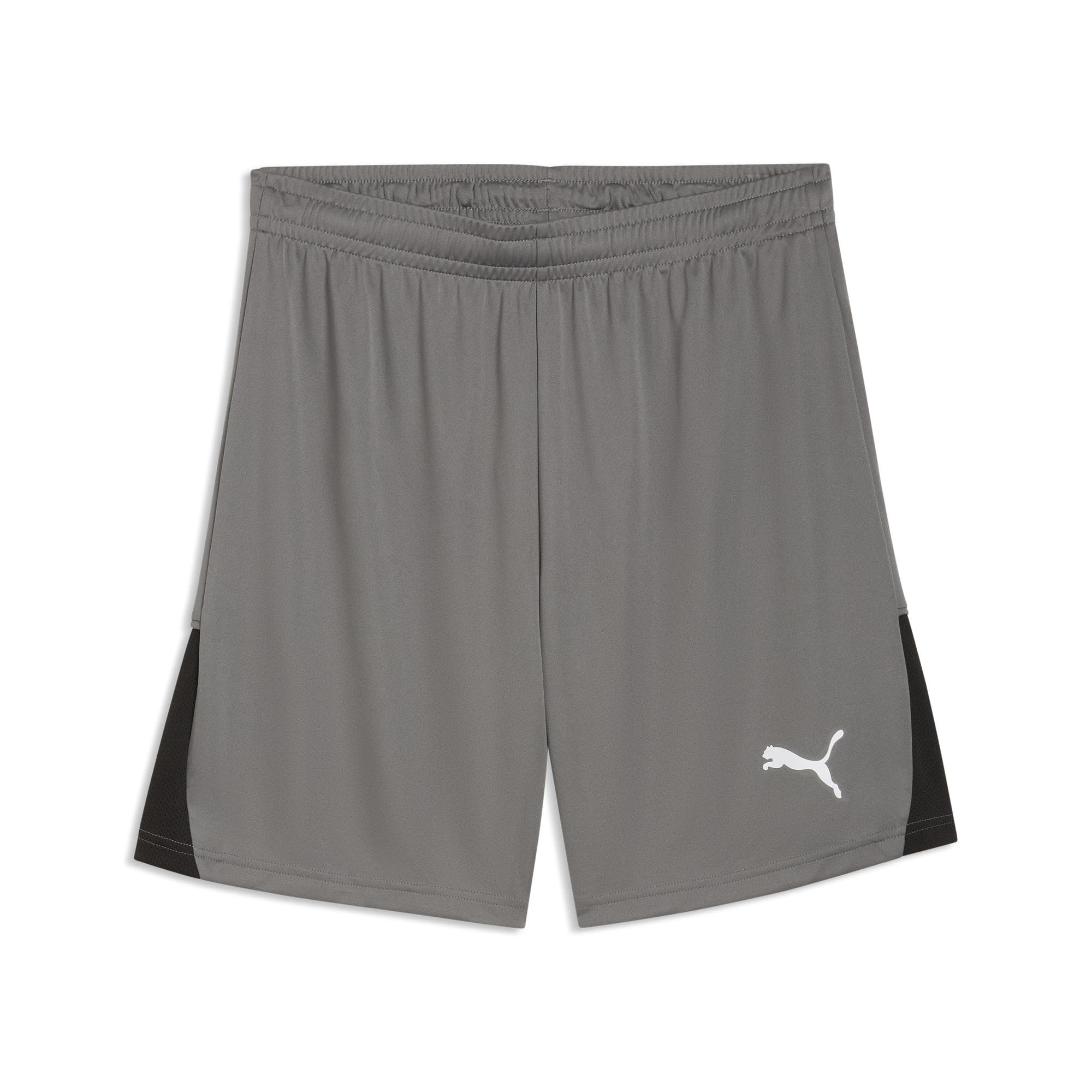 PUMA teamLIGA26 Shorts