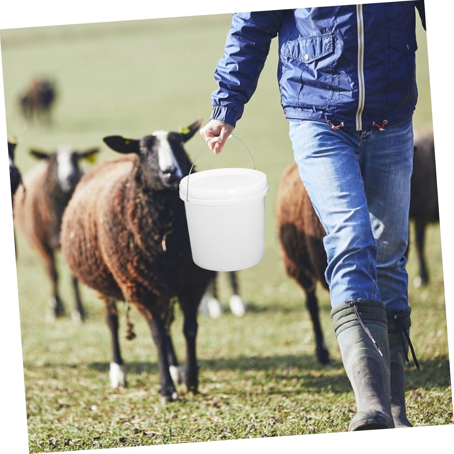 Portable Plastic Bucket with Handle White Water Storage Container for Home Use Fishing and Painting Durable and Multipurpose Design for Easy Carrying