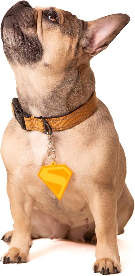 Placa de Identificación de Silicona Gold para Perro ComfyCamper - Talla Única miniatura 3