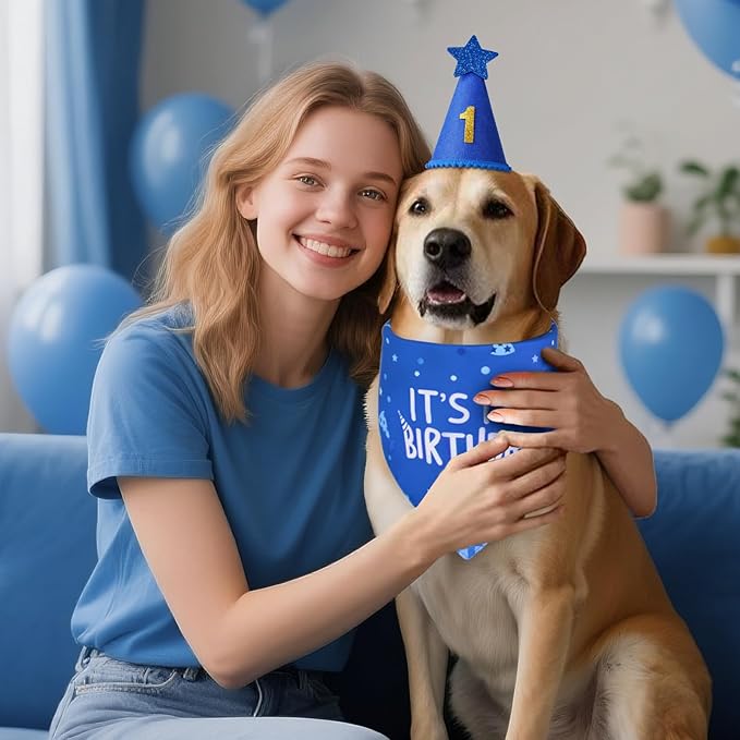 Set de Cumpleaños para Perro Azul - Gorro y Pañuelo Talla XLarge miniatura 8