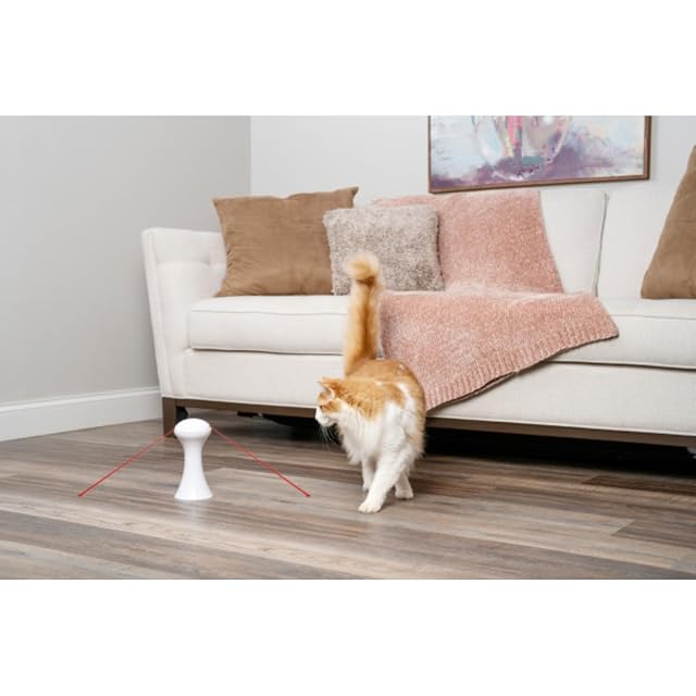 Foto 4 de 6 de PetSafe, Juguete Interactivo Multiluz para Gatos, Portátil, Estimulante, Apagado Automático, Rotación de 360º