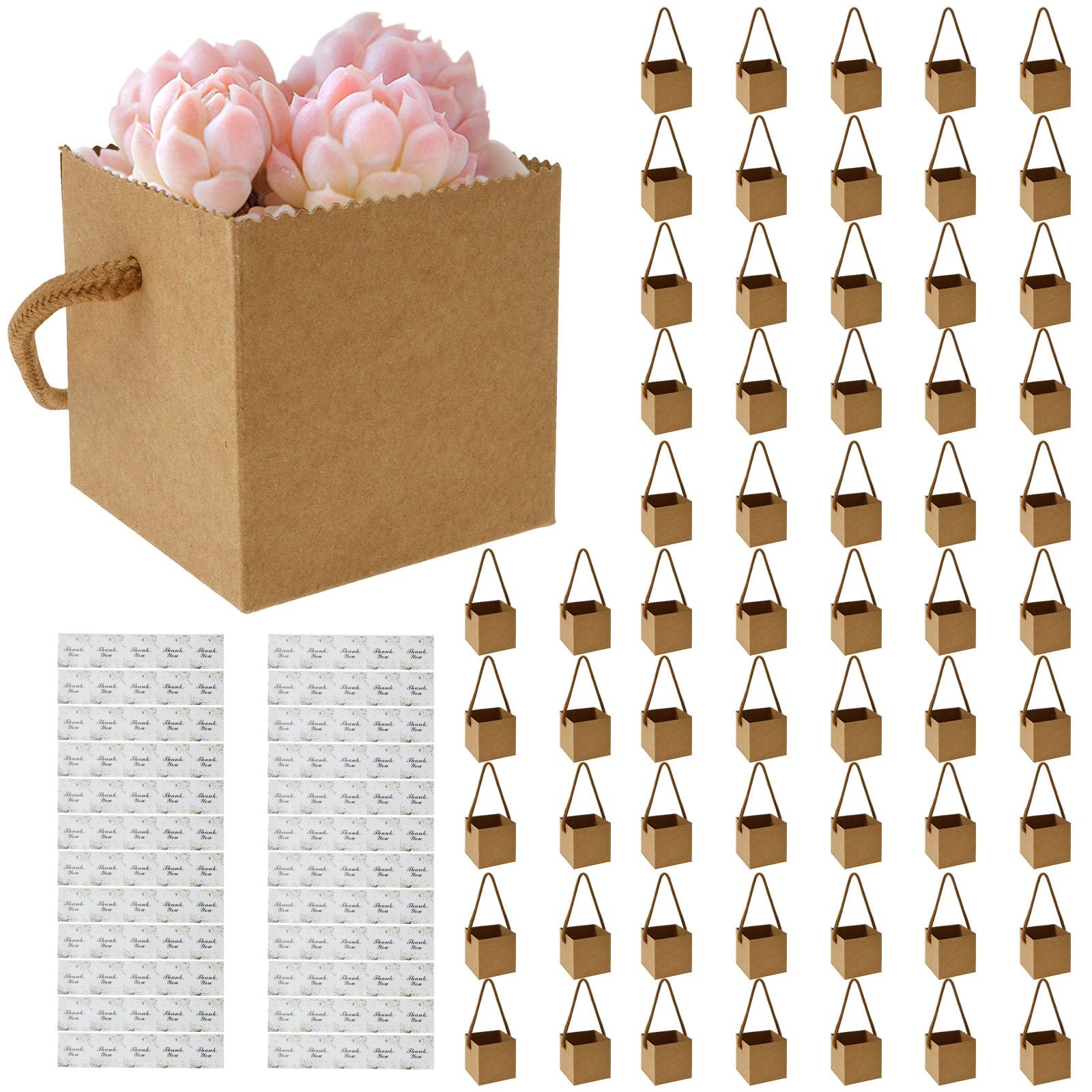  60 sacchetti di carta per piante grasse adesivi riutilizzabili per feste di nozze
| 120 pezzi sacchetti di carta per pi