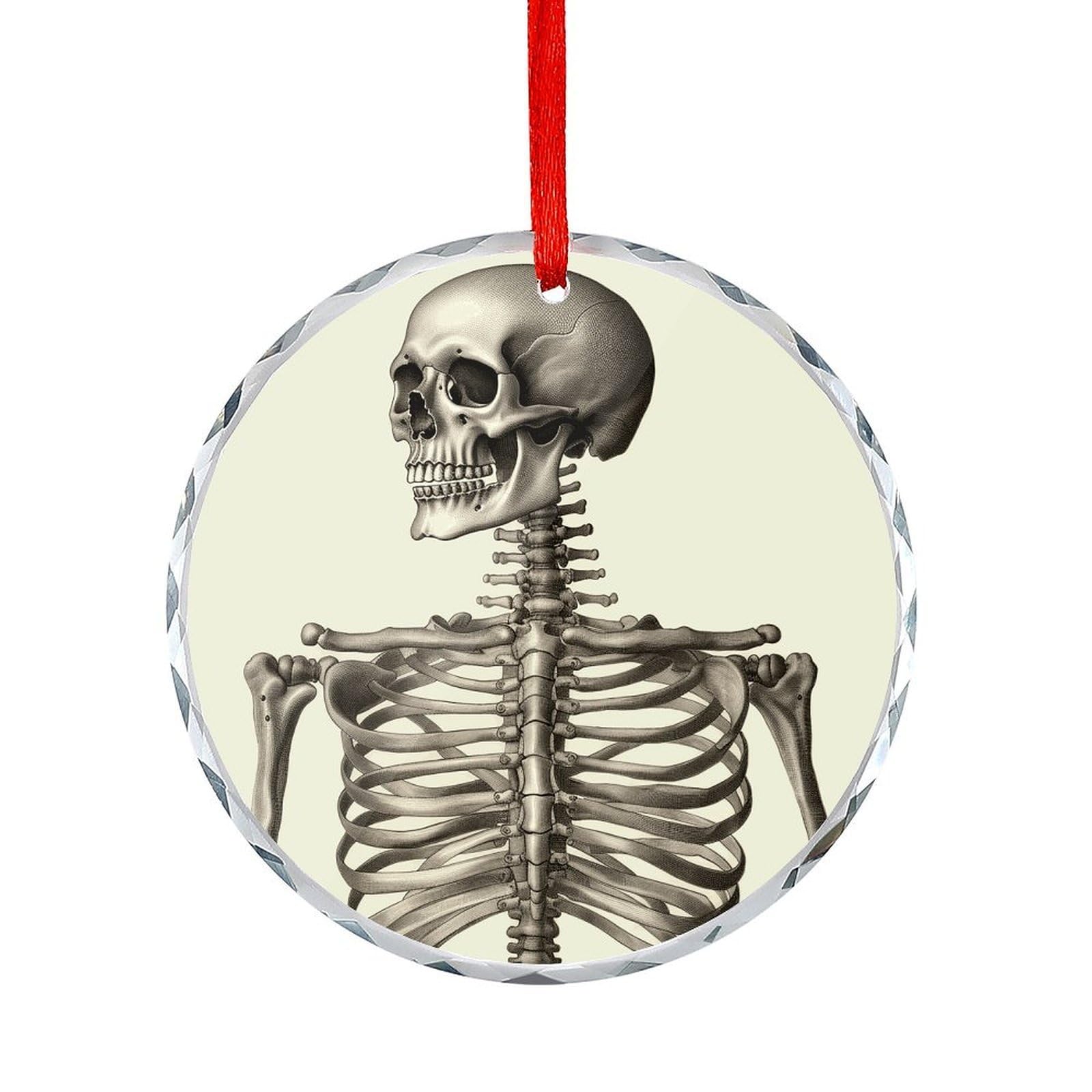 Btcowzrv Style Human Skeleton Round Ornament Hanging Pendant Decor
