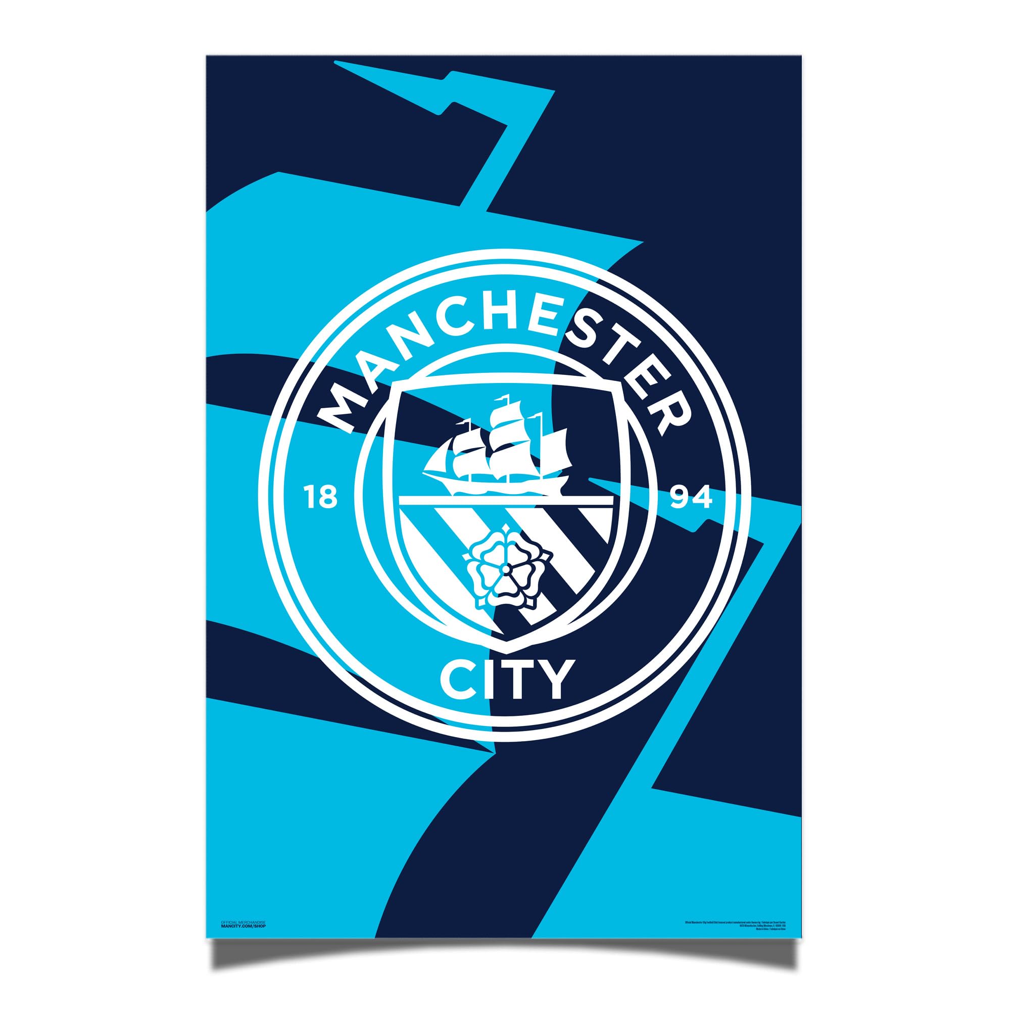 Amazon.com: Desert Cactus Manchester City Poster 24 x 36 inch Wall
