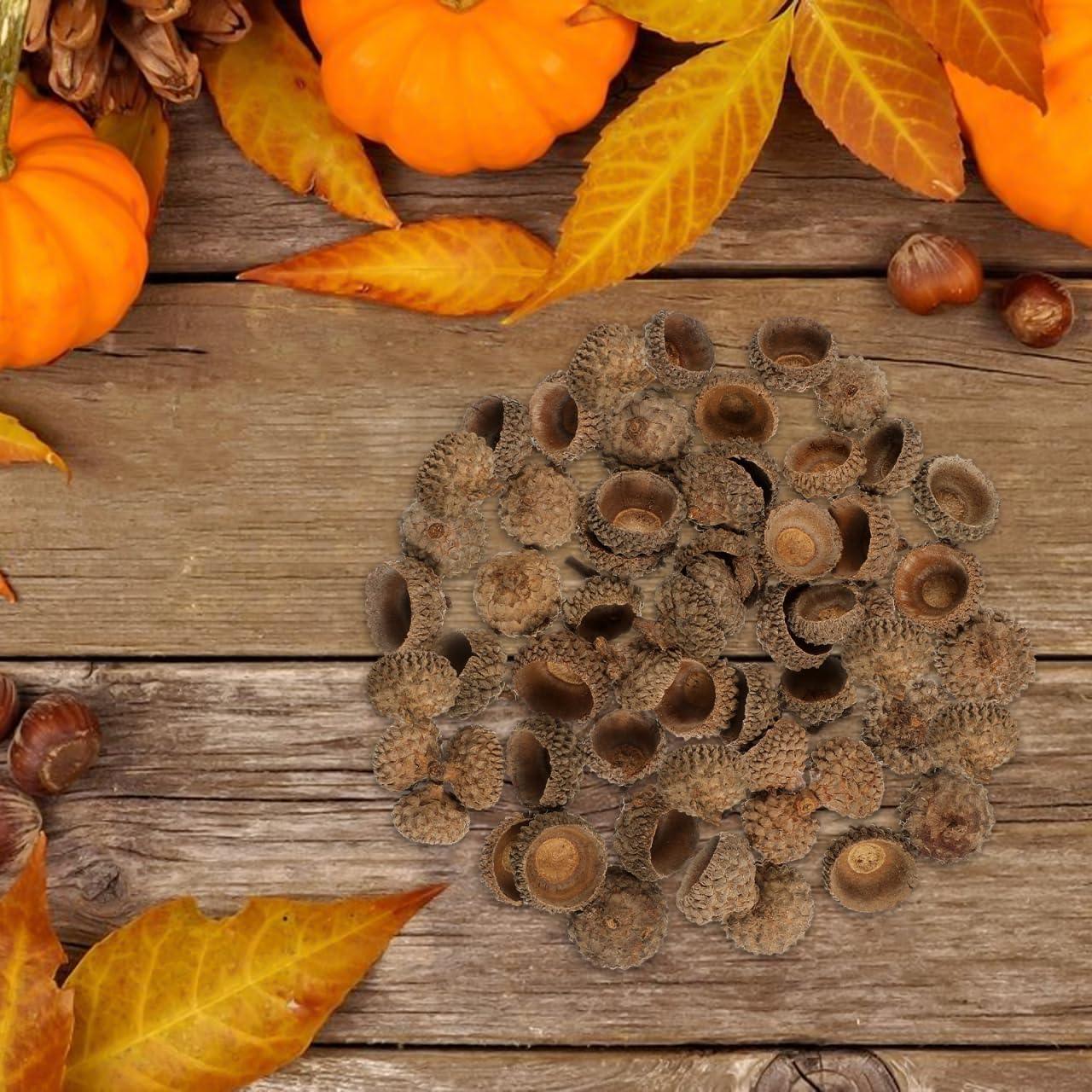 50 Pcs Natural Acorn Caps for Crafts Dry Acorn Shell Ornaments Vase Fillers for Autumn Christmas Home Decor