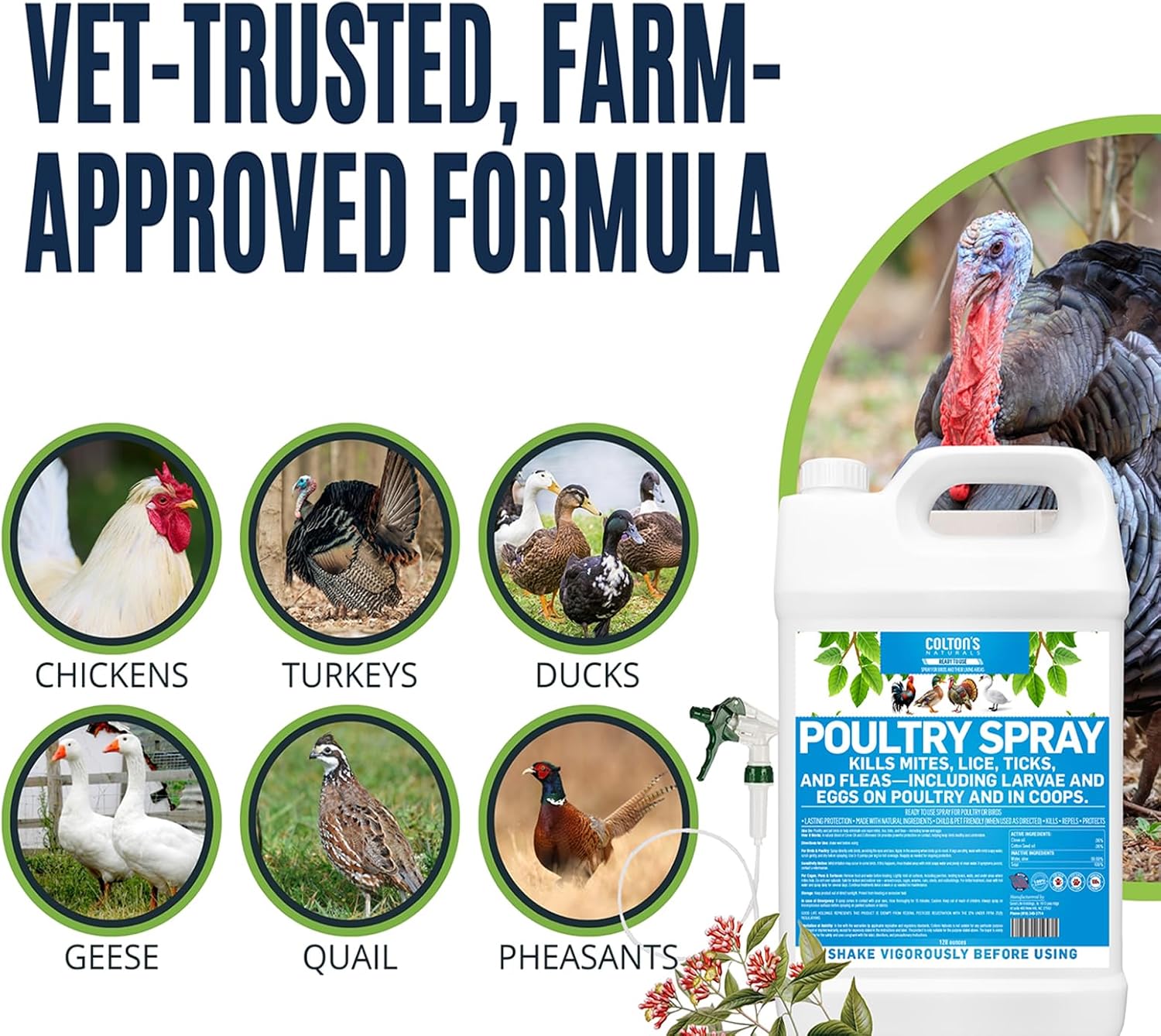 Colton’s Naturals Poultry Spray 1 Gallon – for Chickens – Helps with Mites, Lice, Fleas & Scaly Leg – Safe for Coops, Birds & Backyard Poultry