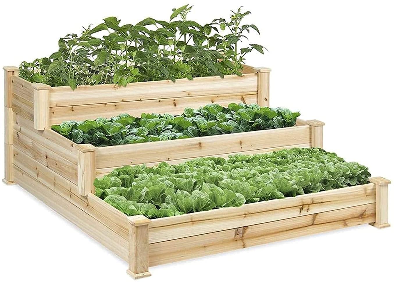 Buy Raised Garden Bed Elevated Planter Box Raised Garden Beds for