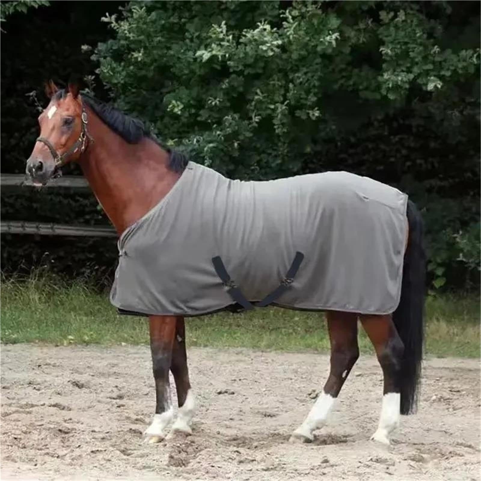 Tappeto for Affluenza Di Cavalli In Autunno | Fodera in pile leggera e traspirante, perfetta for il clima mite e le attività quotidiane del cavallo