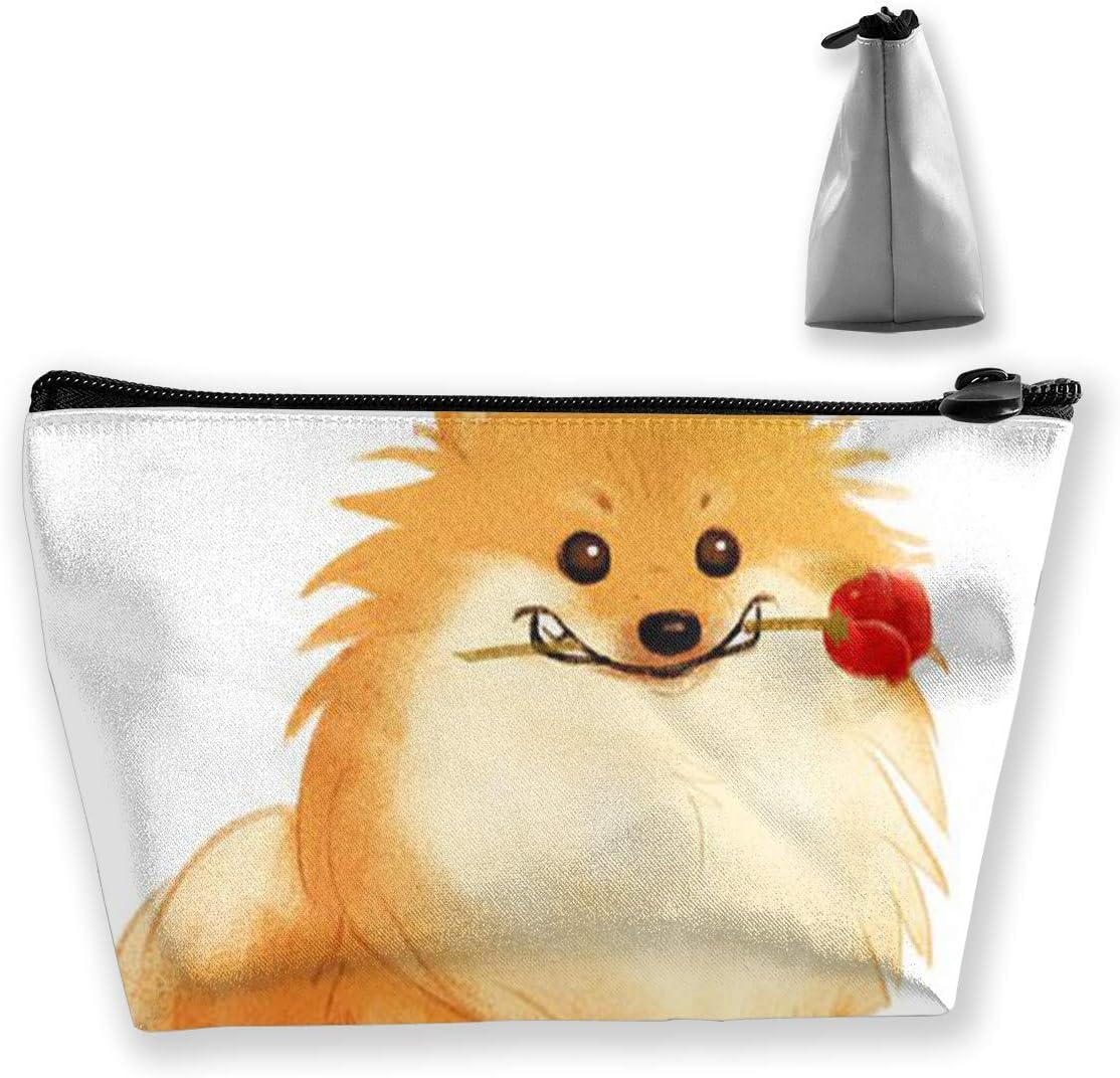 DMFS CORJI Cosmetic Bags Travel Toiletry Pouch Portable Trapezoidal Storage Pencil Holders