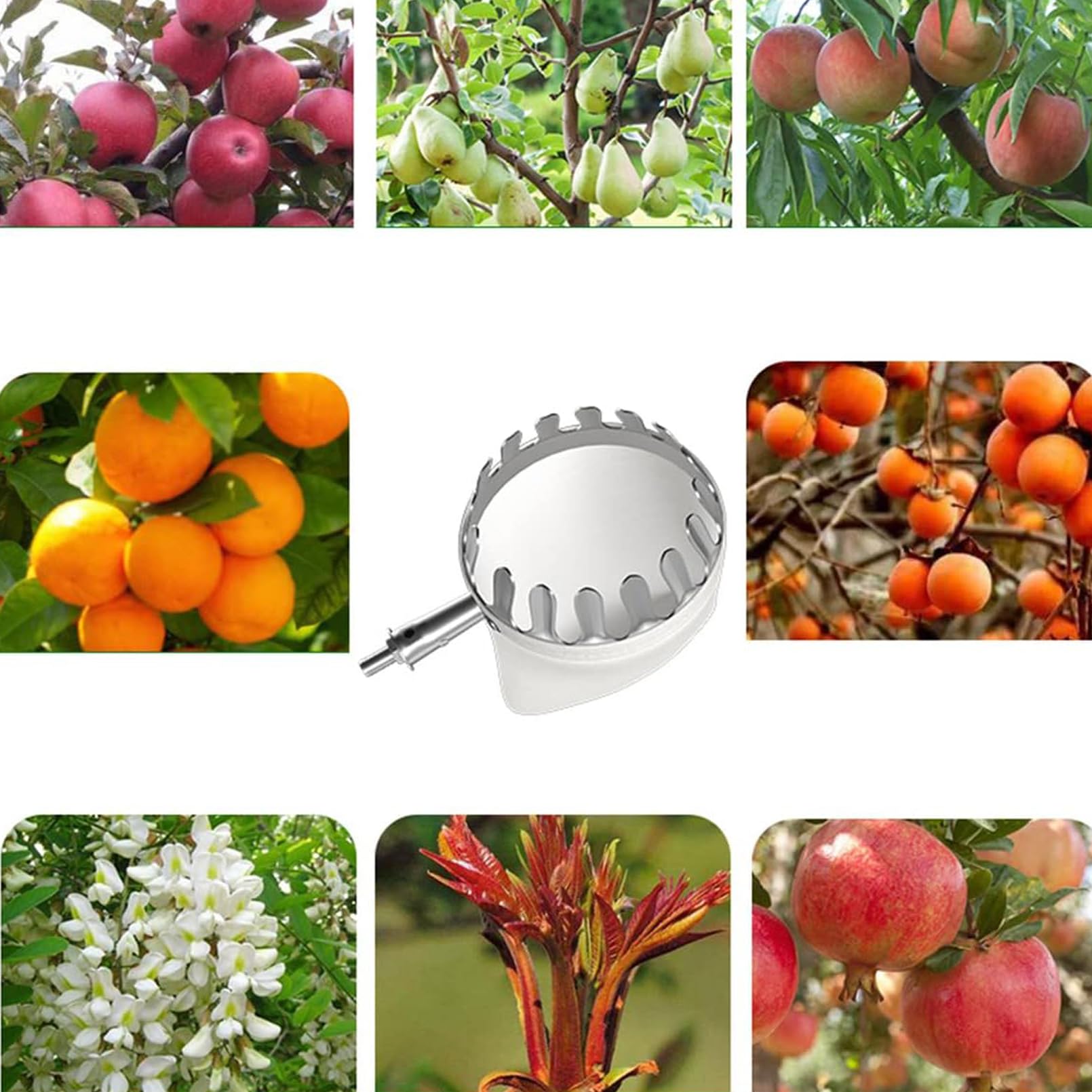 Teleskop-Obstpflücker mit 5 m Stange, 16 cm Korb, rutschfester Griff für einfache Ernte von Äpfeln, Birnen, Zitronen, Orangen – Obstpflückwerkzeug für den Garten