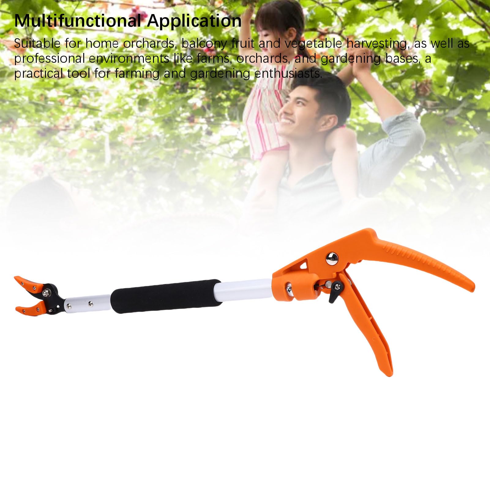 Tijeras para Recoger Frutas, Herramienta de Corte Práctica para Caqui, Melocotón, Uva, Podadora de árboles Frutales, Aleación de Aluminio de 2 Pies