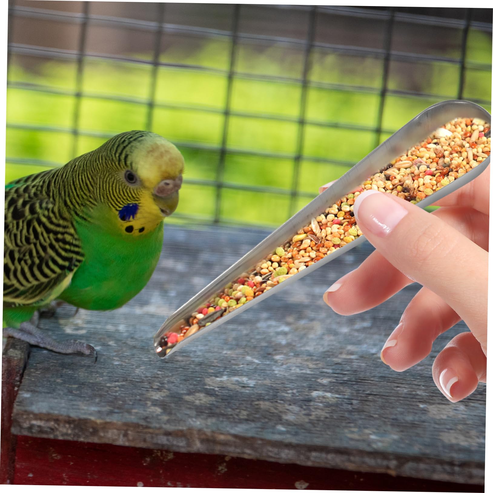 Gatuida 12pezzi Cucchiai Inossidabile per Nutrizione e Pollame Mangiatoie Impermeabili Galline e Piccioni Facili e Utilizzare