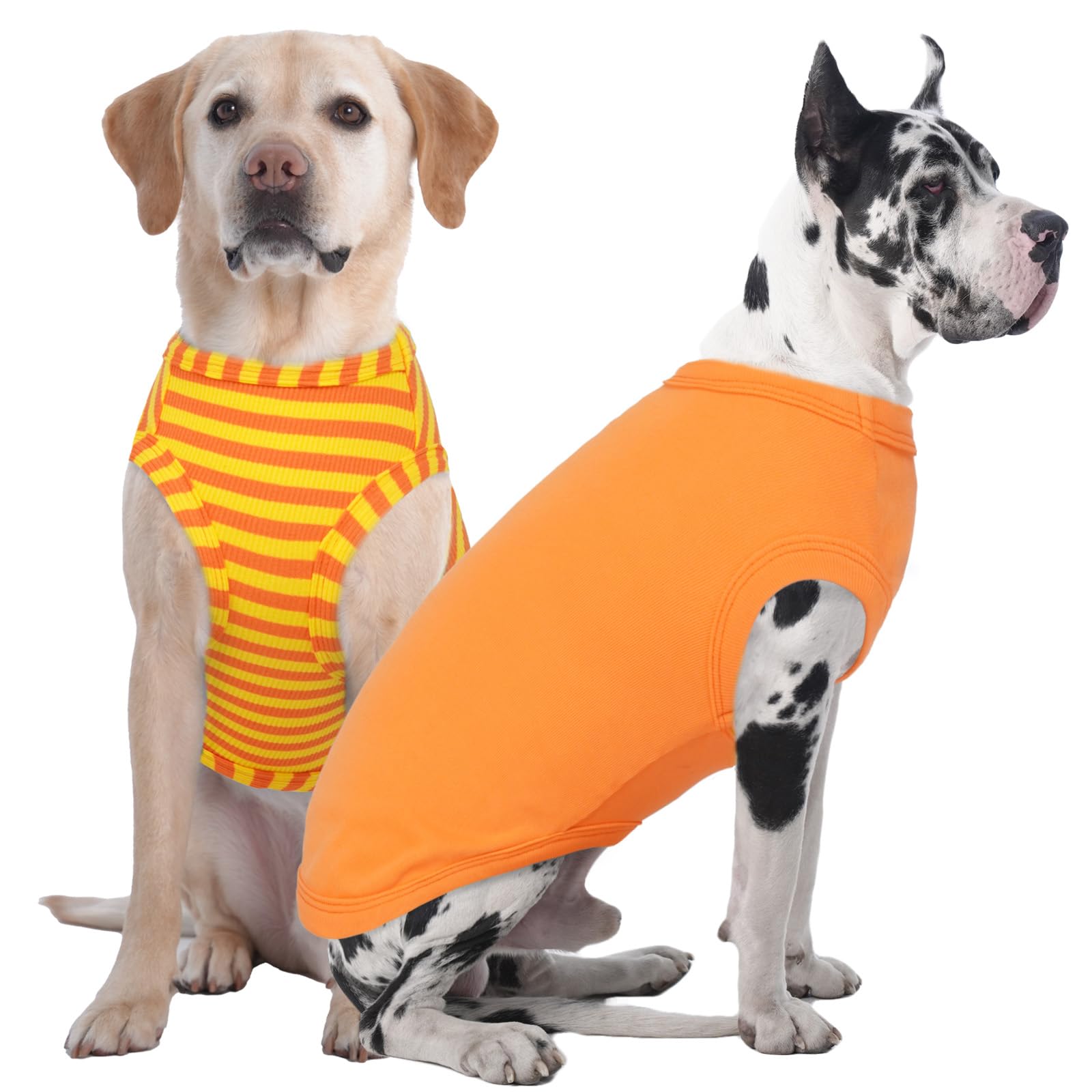 Vêtement pour grand chien confortable contre la chaleur Lot de 2 t-shirts respirants