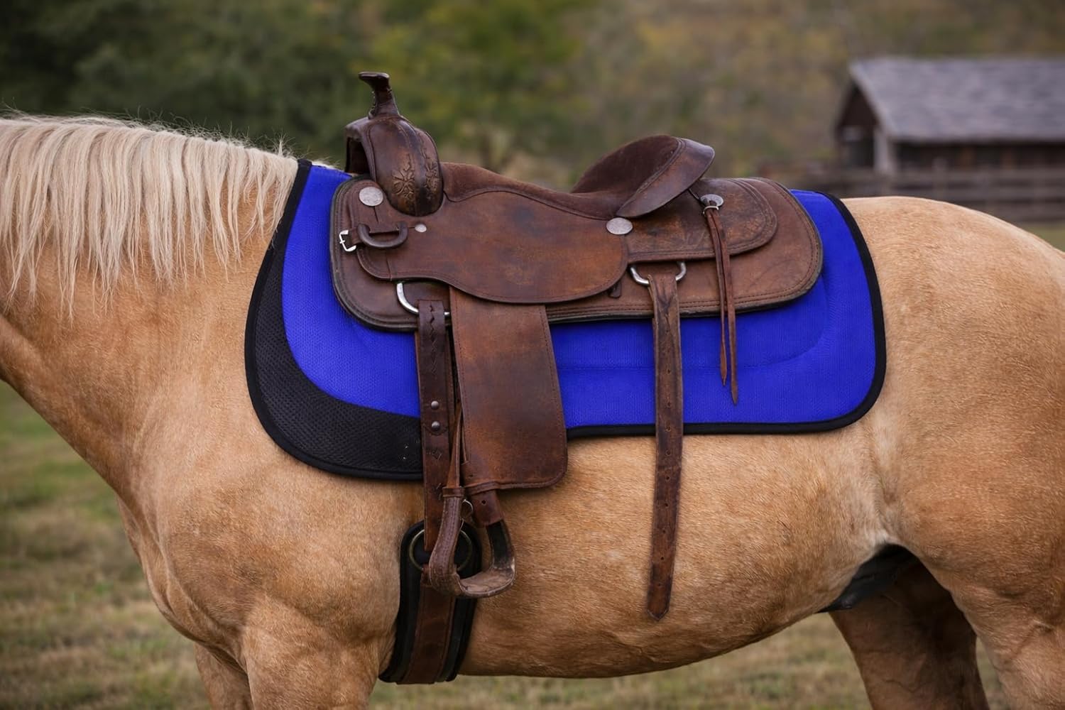 CHALLENGER 27"x18" Western Round Skirt Barrel Neoprene Saddle Pad Black 39199