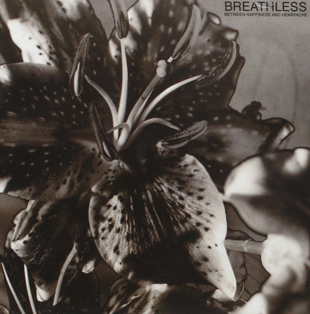 Between Happiness And Heartache