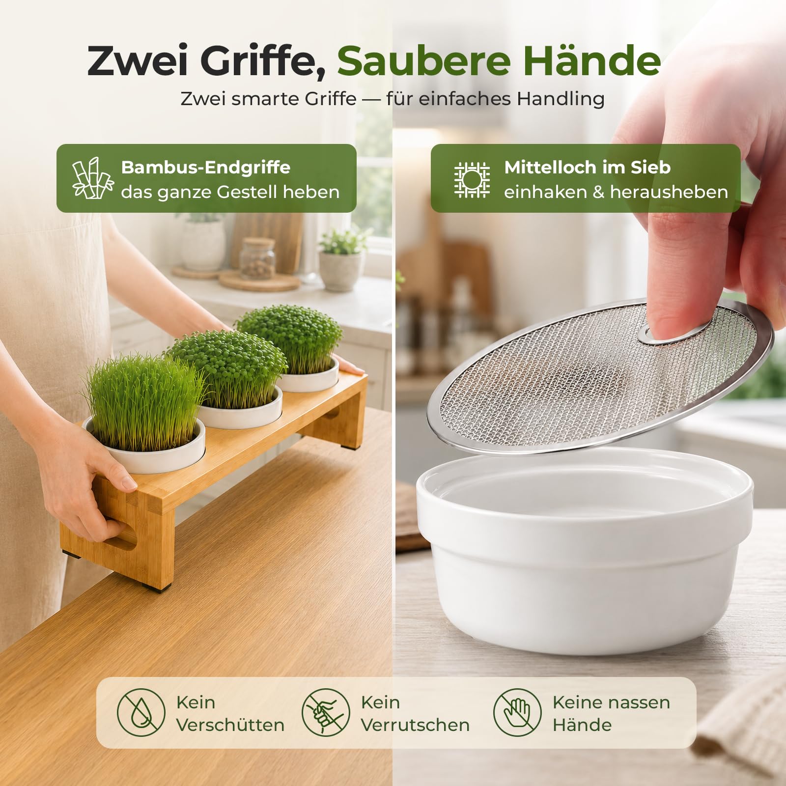 Sprossen Anzuchtset 44cm mit 3 Keramik Kresse Anzuchtschalen
