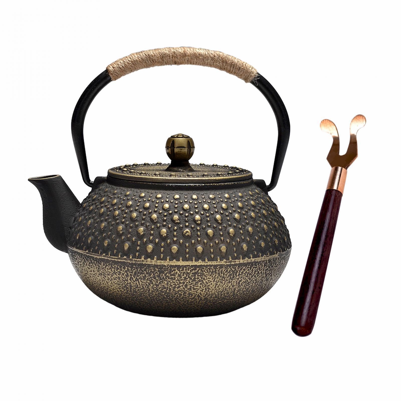 Tetera de hierro fundido, tetera japonesa para doméstico, exterior, camping, diseñada para preparar infusiones, hervidor de agua para cocina, hotel.