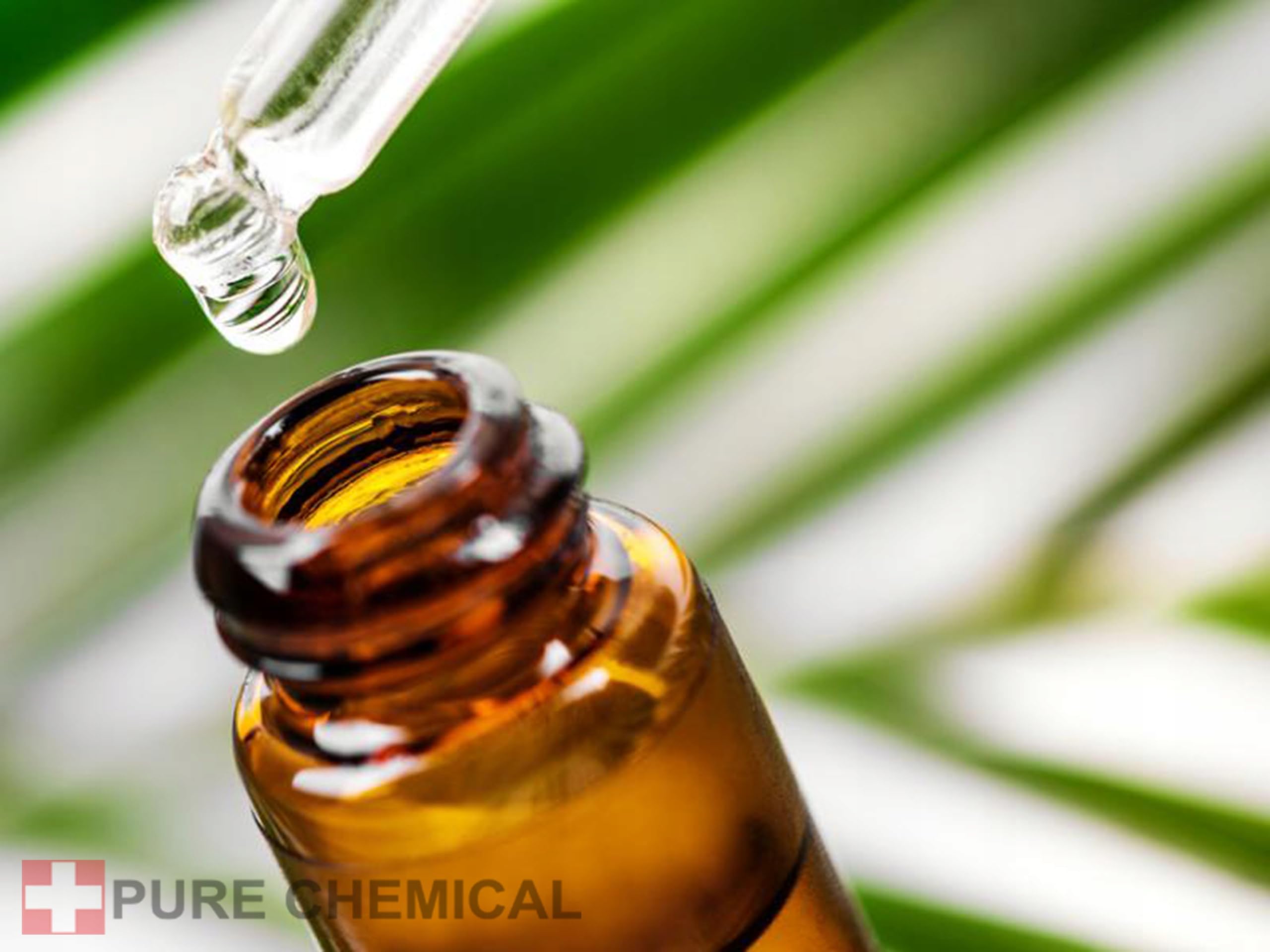 PURE CHEMICAL - Tsubaki Japoński Olej kameliowy 1L+Dozownik - Nierafinowany - Do twarzy włosów Oleje kosmetyczne - Olej kameliowy - Naturalny - Tłoczony na zimno (1L + dozownik)