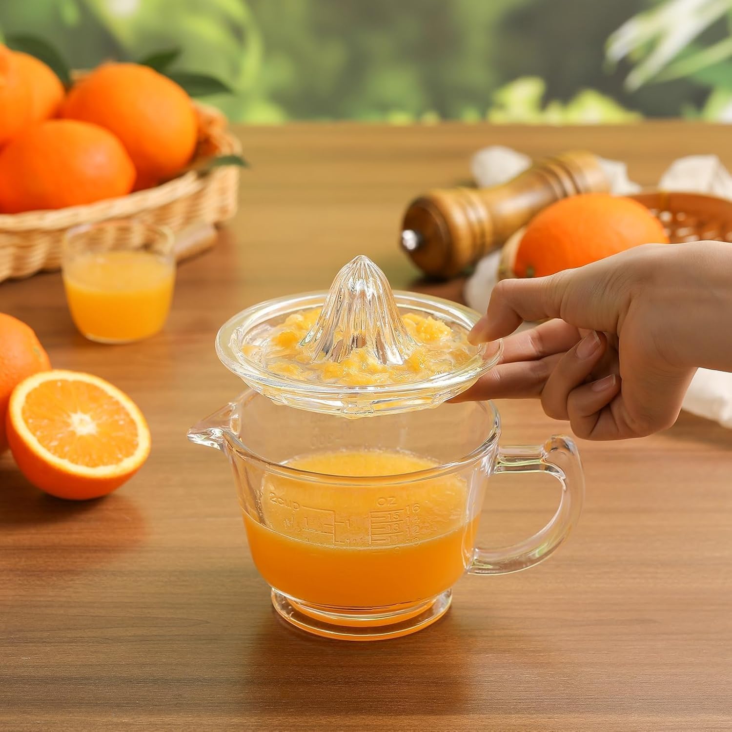 Clovefry Glass Handpress Juicer Manual Citrus Juicer, Orange Juicer, Lemon Squeezer, Hand Squeezer Juicer, Orange Squeezer, Manual Juicer for Fruits (B0DG33X3CV) Amazon Price History, Amazon Price Tracker