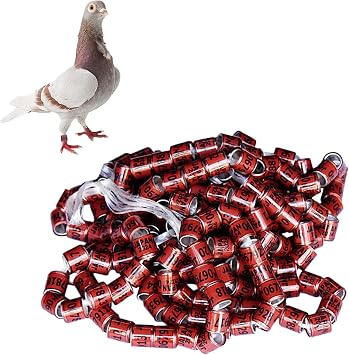 Bird Leg Bands 2025,2025 Pigeon Leg Rings | 50 Secure Dove Equipment Bands, Durable Universal Size Bright Colored Bird Paw Rings for Paijon Accessories Racing Parrot Chick Ducks