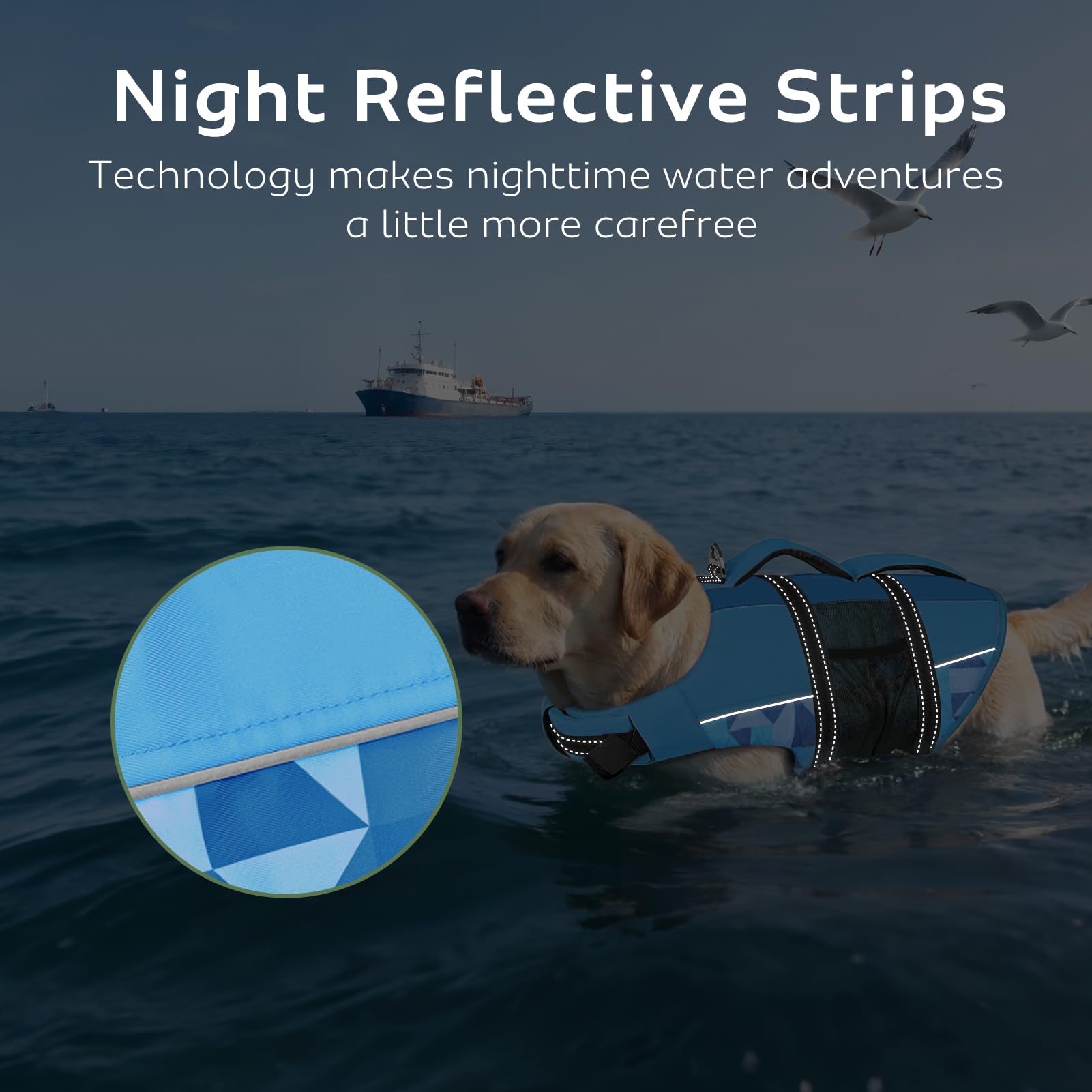 CITÉTOILE Giubbotti di Salvataggio per Cani, Regolabile Salvagente per Animali con Manico, Costume da Bagno di Sicurezza in Acqua per la Vela in Piscina Sulla Spiaggia, Blu, M