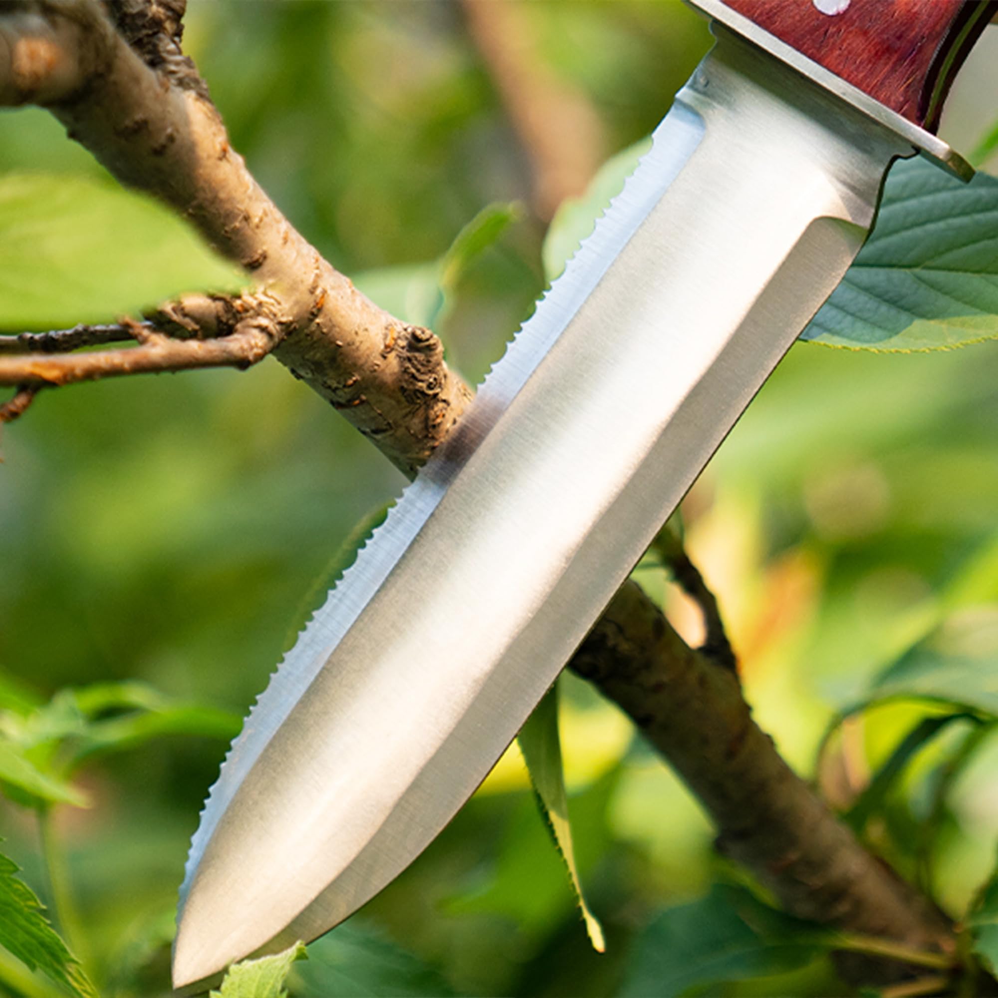 FLORA GUARD Hori Hori Couteau de jardin, Outil Multi-Fonction de Jardin idéal pour désherber, creuser, planter et plus encore, avec un fourreau en cuir épais et une pierre à aiguiser