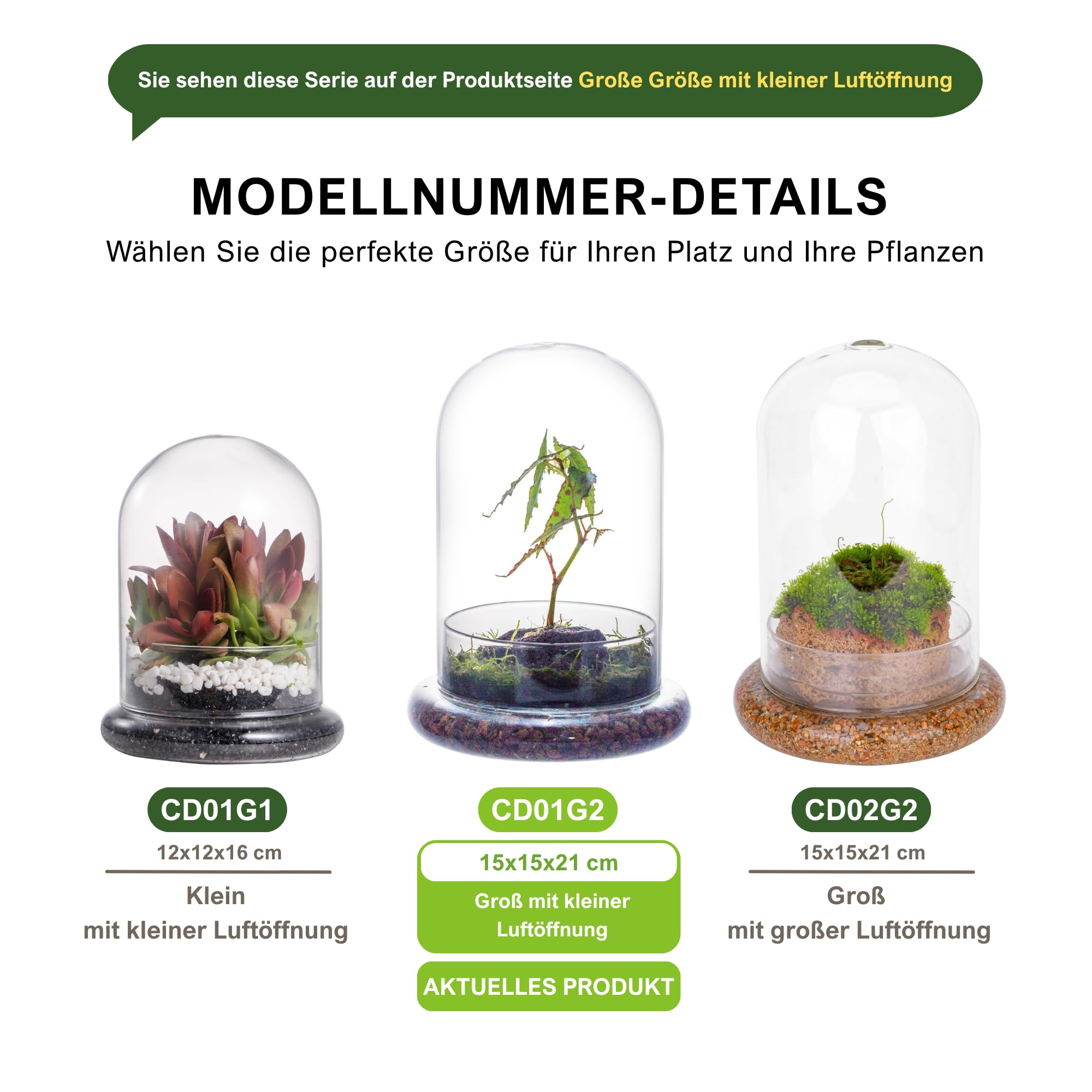 NCYP Dekorative klare Glaskuppel mit Luftloch, 15x21cm, Glasglocke mit Boden Heimtisch Display Glas Terrariumbehälter für Blumen Tafelaufsatz (Nur Glaskuppel)
