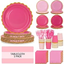 Pink Plates and Napkins Party Supplies for 24 Guests