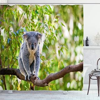 Lunarable Koala Shower Curtain, Australian Koala in Its Natural Habitat of Gumtrees Indigenous Wildlife Eucalyptuses, Cloth Fabric Bathroom Decor Set with Hooks, 69" W x 70" L, Multicolor