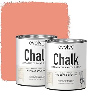 16 Garage Organization Ideas to Maximize Storage Space 22 EVOLVE Chalk Paint for Furniture, (Coral Veil), 2-Pack Quart – No Sand o...