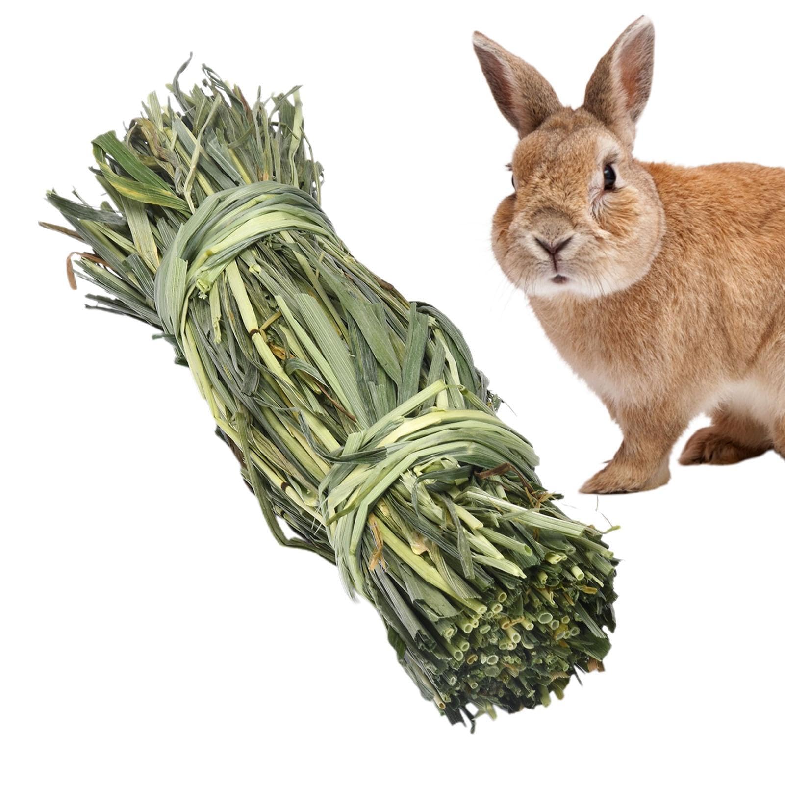 Rianpesn Rabbit Chew Toy - Grass Ball for Guinea Pigs,Gnawing and Teeth Grinding Snacks To Keep Teeth Clean for Hamster, Guinea, Rabbit, Squirrel, and Chinchilla