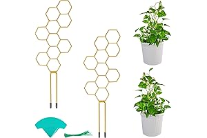 GROWNEER 14" Small Trellis for Climbing Plants