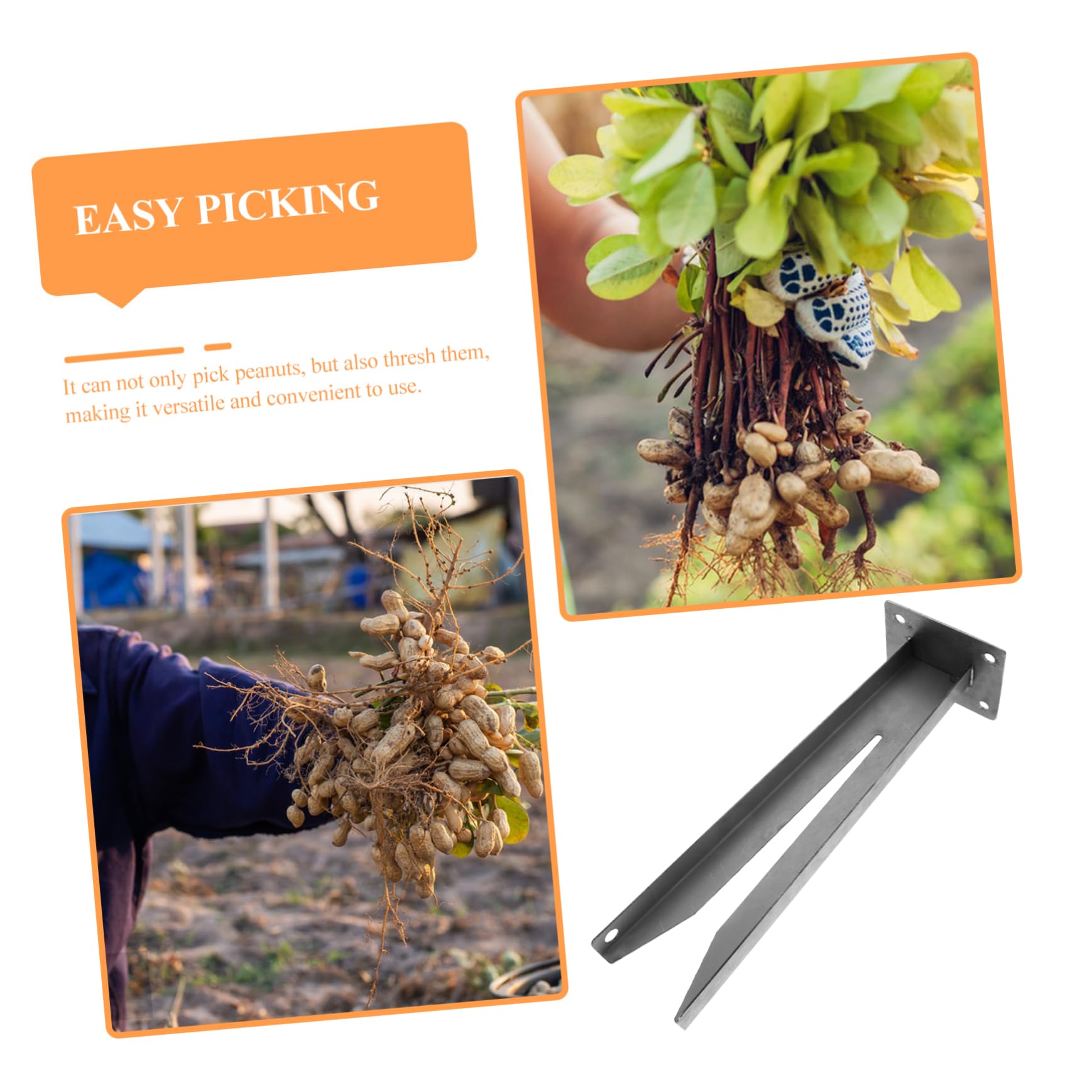 INOOMP 2piezas Recolección De Cosechas Herramienta Manual Metálica para Recoger Cacahuetes para Agricultores y Jardineros