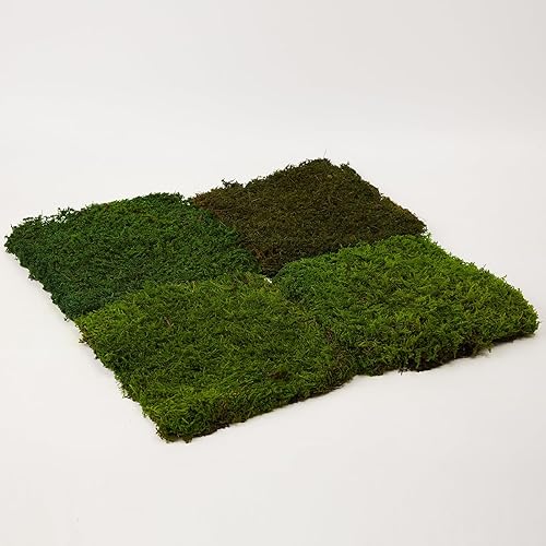 Vista 13 de Hoja preservada de musgo verde natural, decorativo, verde natural, kit de bricolaje, arte de jardinería, decoración de pared, decoración de verde - b