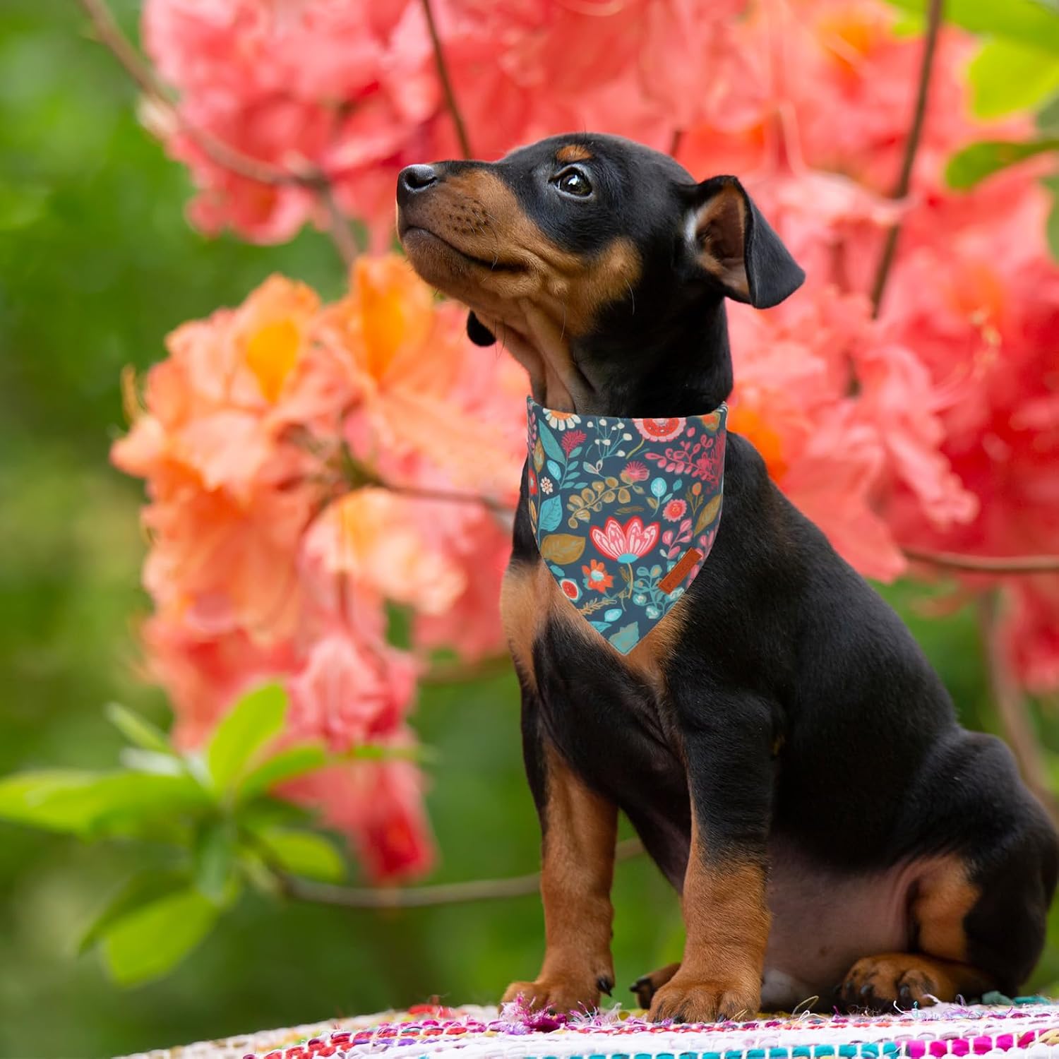 PTDECOR Spring Floral Dog Bandana, Flower Pet Scarf, Small image 3