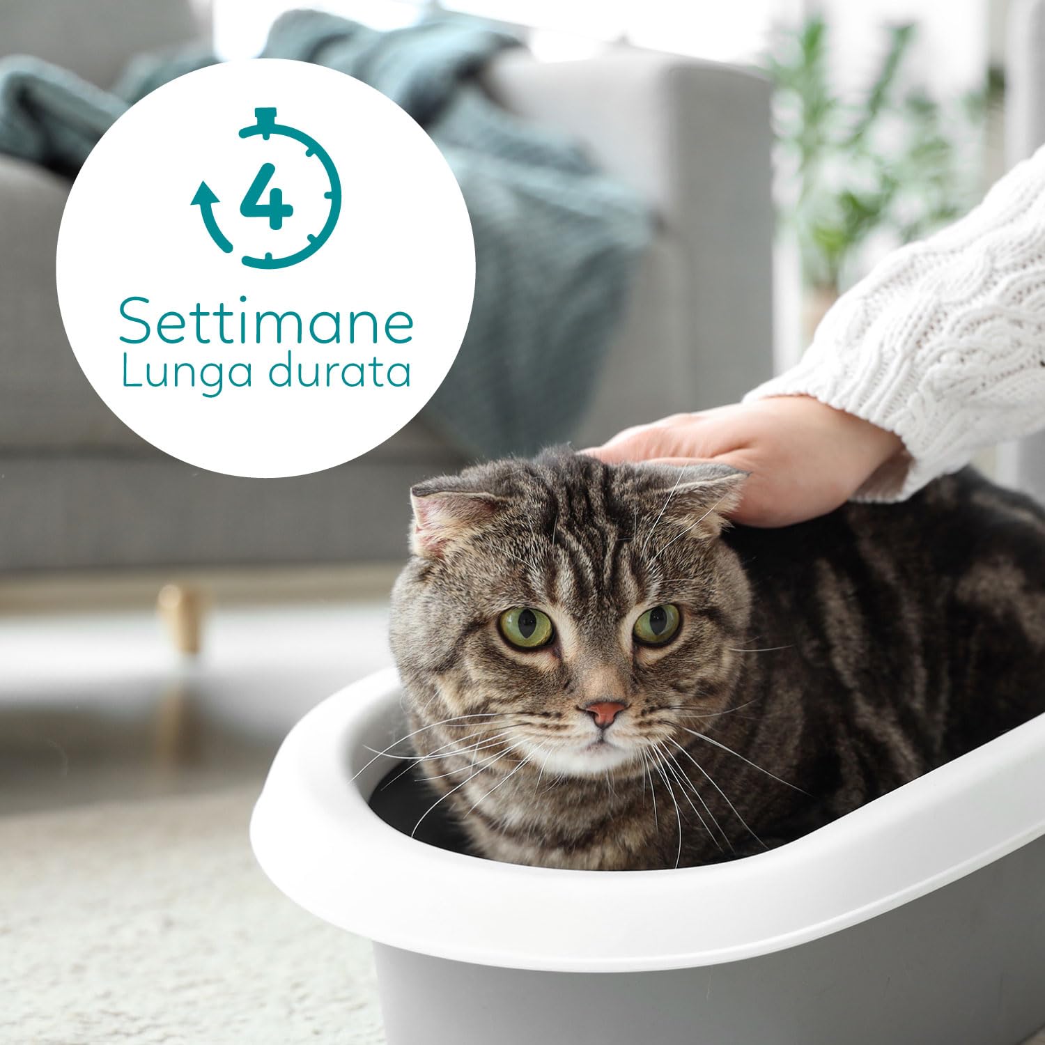 Lettiera per gatti al silicio Aqpet Friends Catty 6x5L (30L) – cristalli di gel di silice profumo talco – ultra assorbente, antibatterica, anti odore e senza polvere