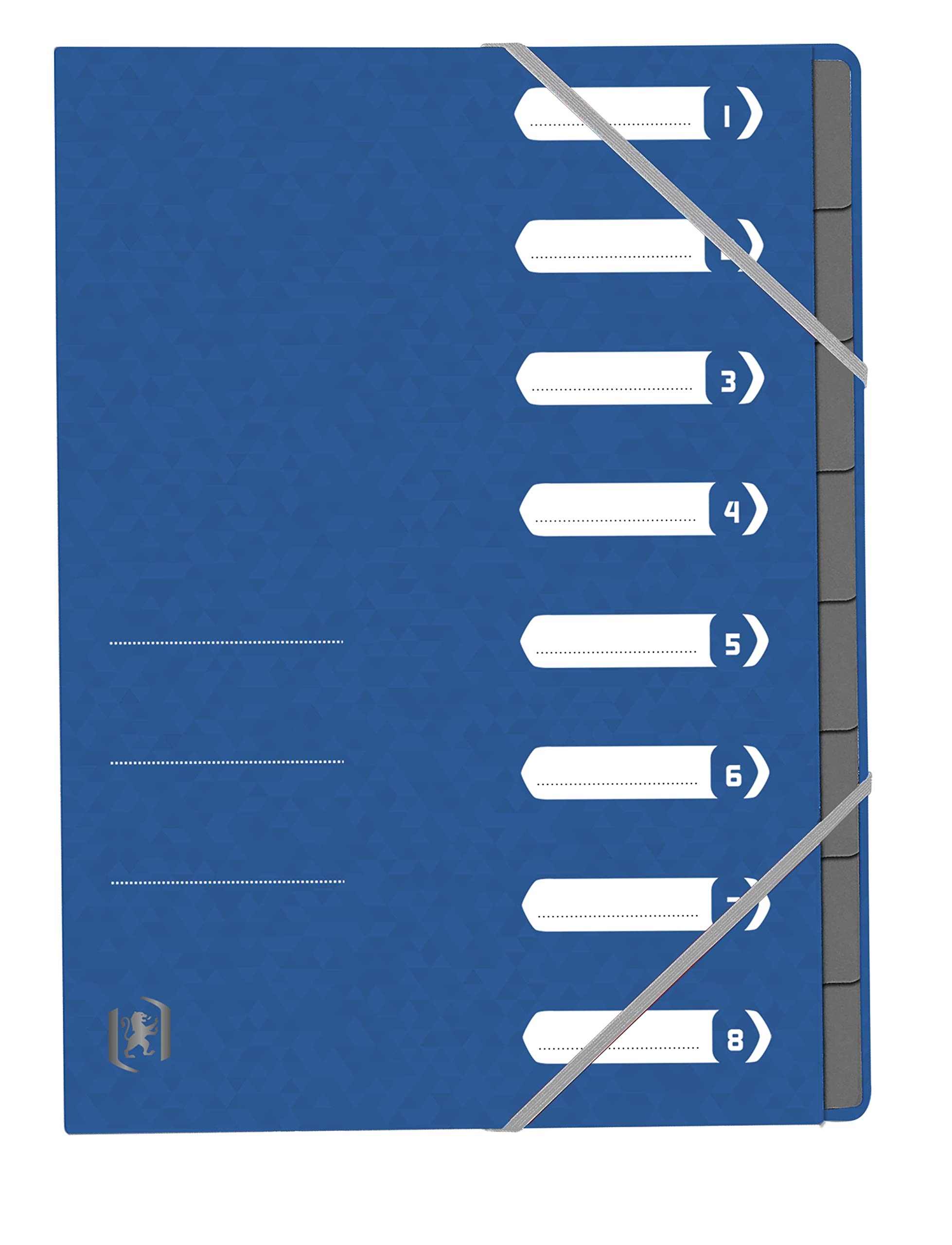 Oxford 400116251 - Carpeta archivadora, color azul 8 Fächer