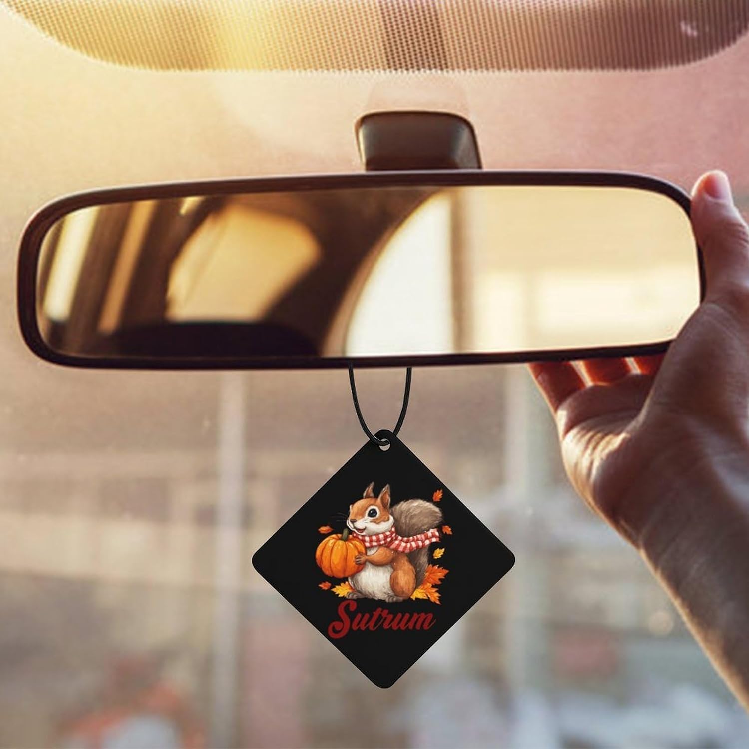 Fall Squirrel Maple Leaf Car Air Freshener Cute Hanging Aromatherapy Tablets for Car Home Rhombus