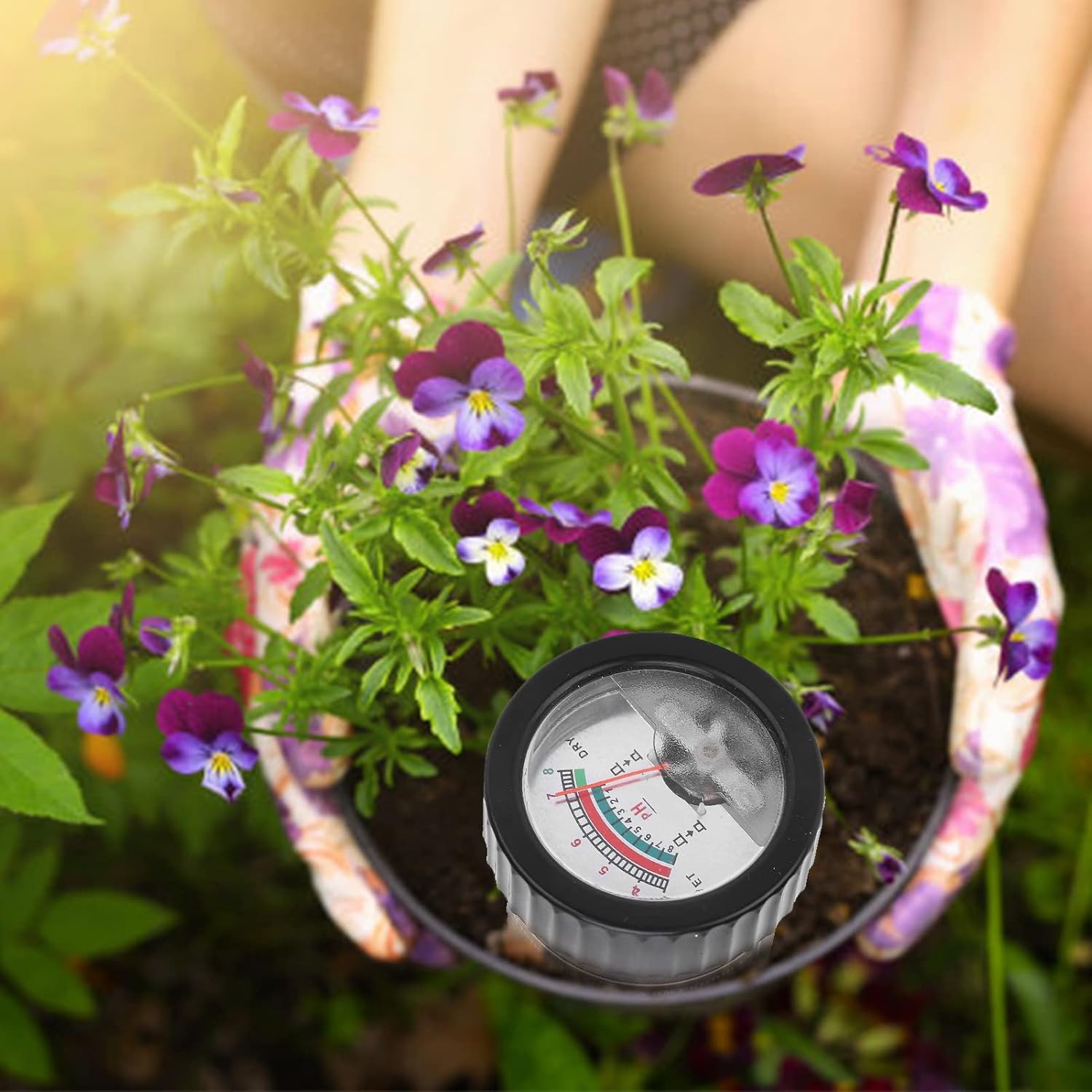 A person inserting the soil pH and moisture meter into a potted plant.