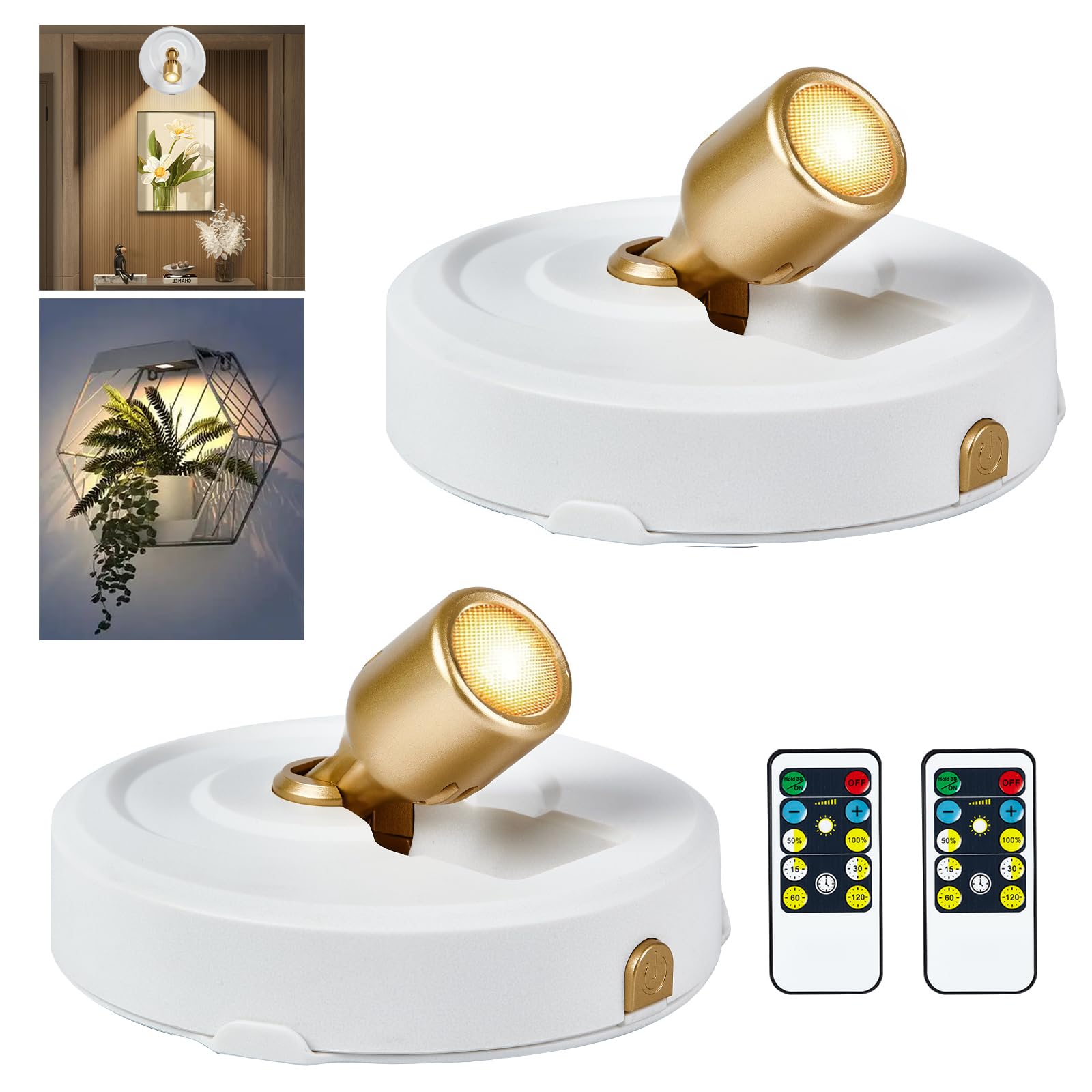 RAHAN 2Pack Battery Operated Spotlight, Picture Light with Remote Dimmable & Timer, Plants Uplighting Picture Lights for Paintings, Small LED Spot Display Lights for Wall Frame Artwork Dartboard