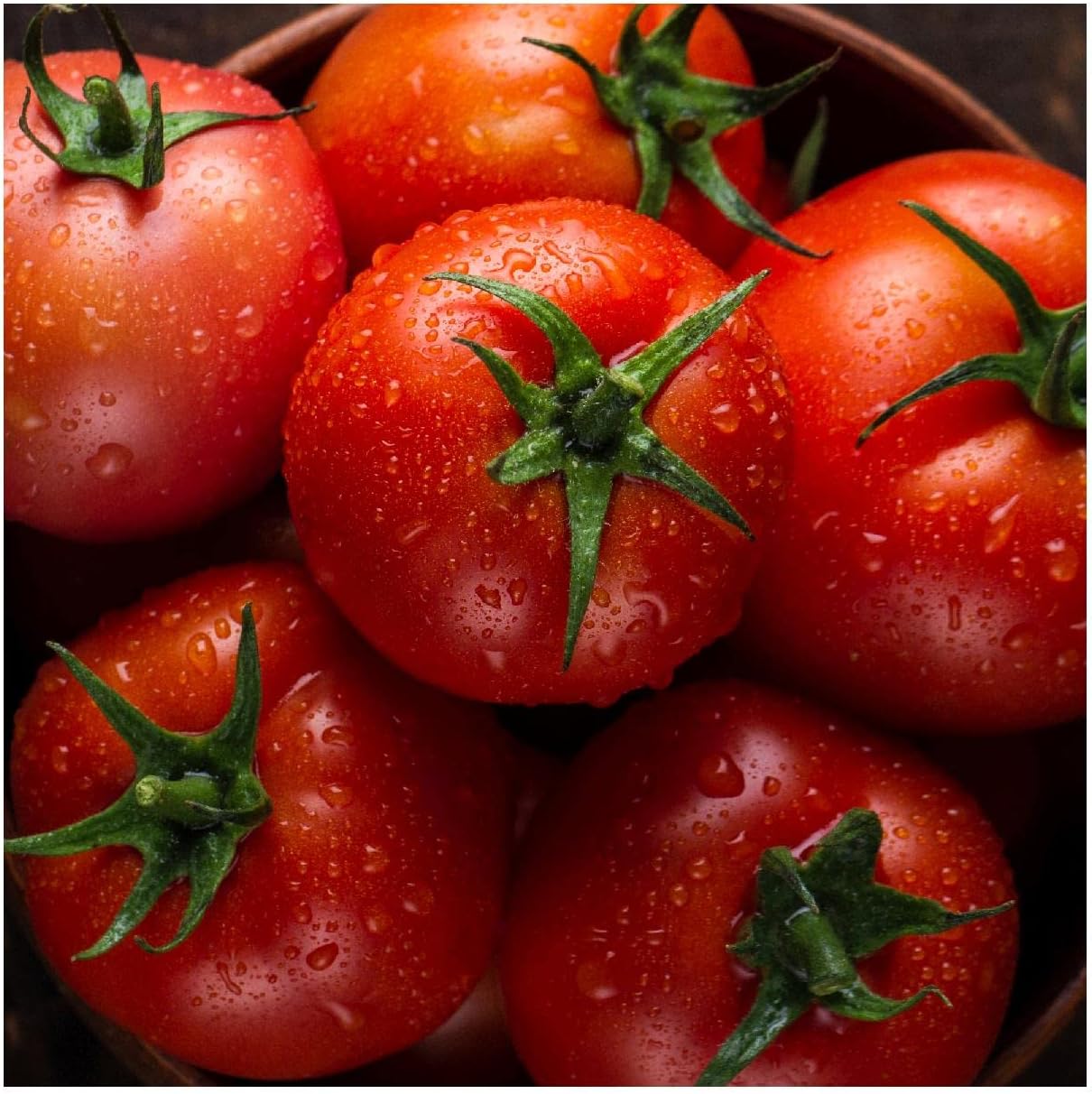 Everwilde Farms - 1 Oz Organic Bonny Best Heirloom Tomato Seeds - Gold Vault Packet