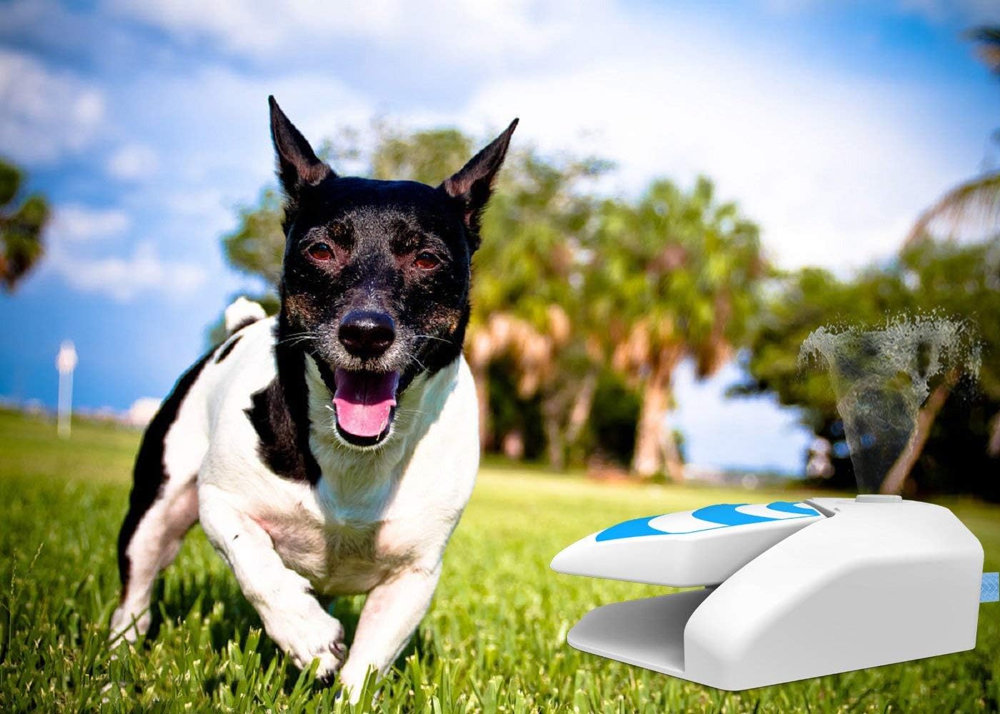 ALL FOR PAWS Dog Step on Water Sprinkler Pet Garden Water Fountain with Pressure Regulator