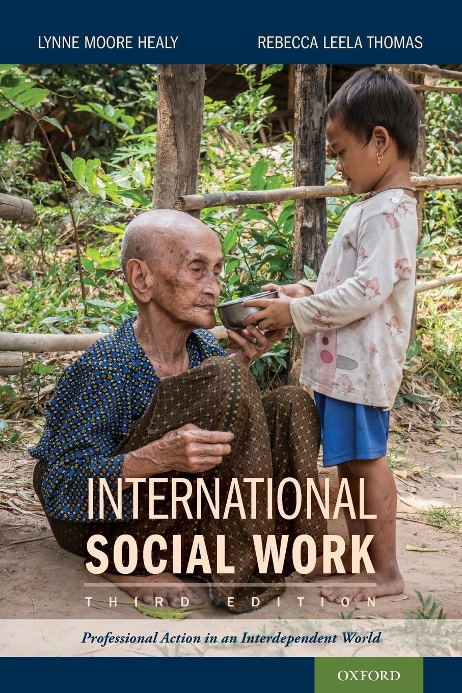 International Social Work: Professional Action in an Interdependent World      3rd Edition