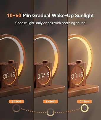 Dreamegg Touch Bedside Lamp Daylight Alarm Clock with USB Charging Function