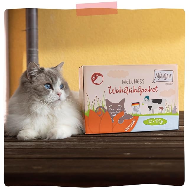 Foto 6 de 6 de MjAMjAM - Comida húmeda Premium para Gatos