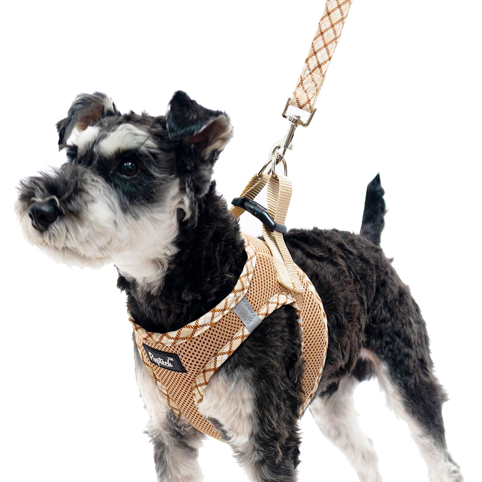 PUPTECK Dog Harness and Leash Set for Small Medium Dogs No Pull Step-in Soft Mesh Puppy Cat Vest Harnesses Reflective at Night, Beige S