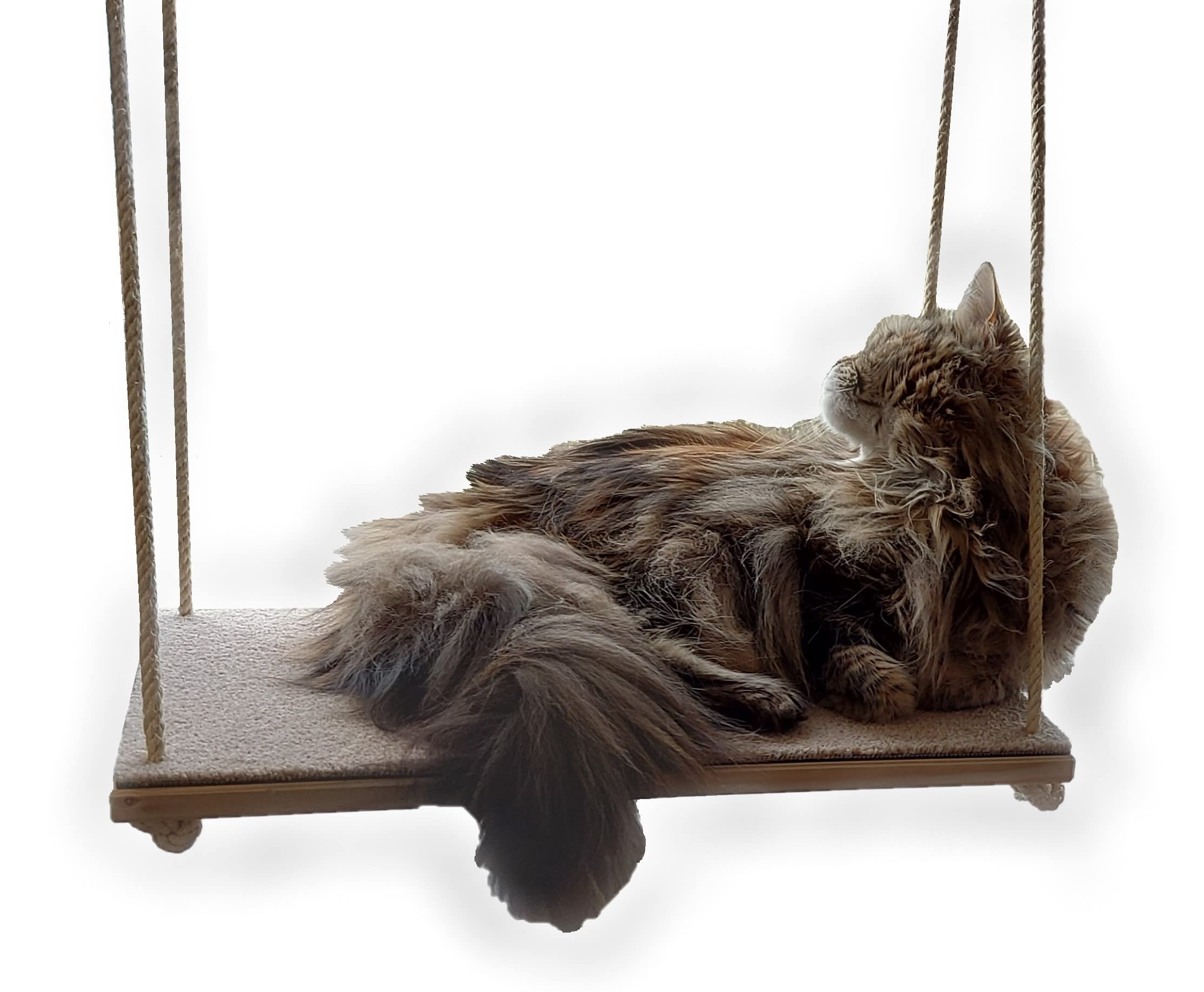 CapriCorner Katzen Fensterliege, kein Herunterfallen Dank Sisalseile, Holz statt Plastik - Neuer Fensterplatz (Grau)