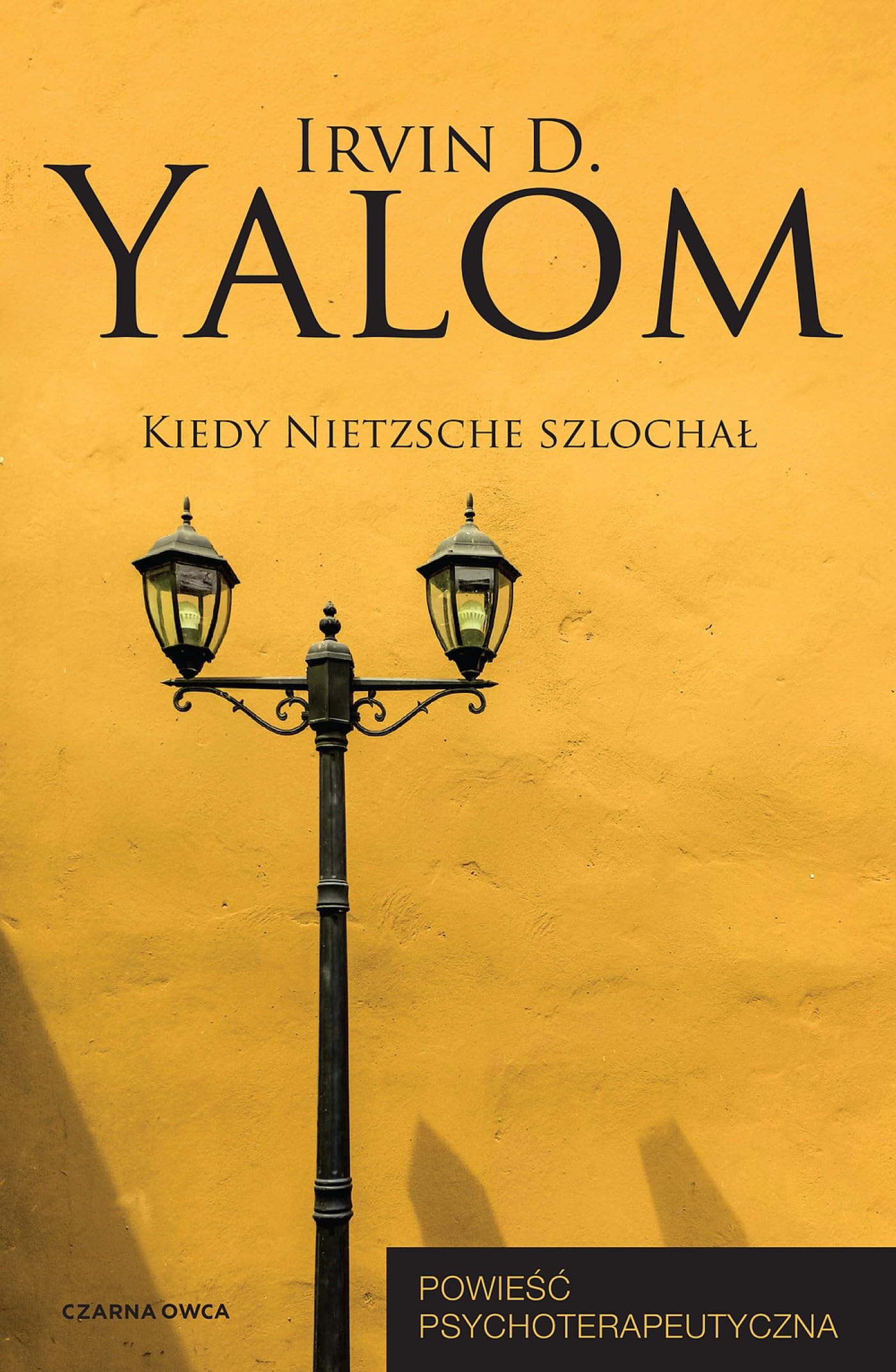 Kiedy Nietzsche szlochał: Powieść psychoterapeutyczna (Irvin D. Yalom)