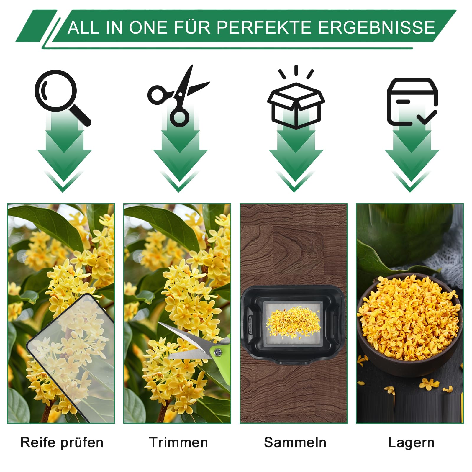 Premium Trim Bin Set, 150 Micron Pollensieb, TrimmSchale Trim Tray mit 2 Ergonomische Trim Tray, 4 Trimmscheren, Bürste, Lupe, Grow Zubehör zum Trockensieben und Sammeln